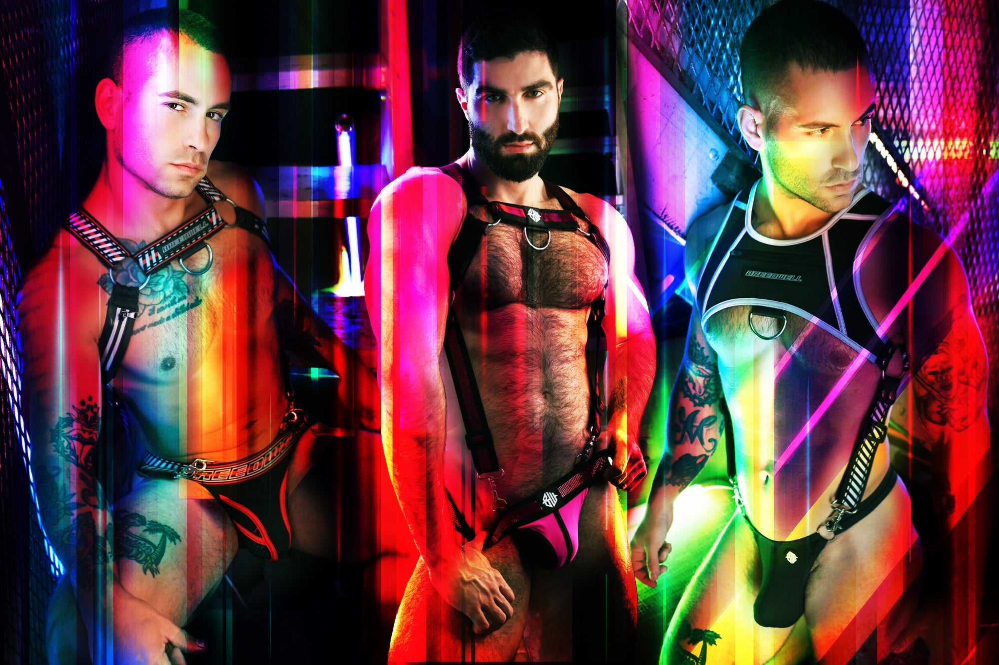 NEW ARRIVALS - Breedwell