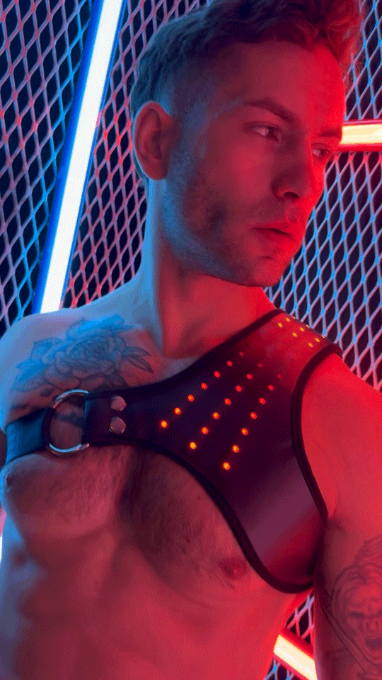 Soundwave Synergy Harness - Breedwell