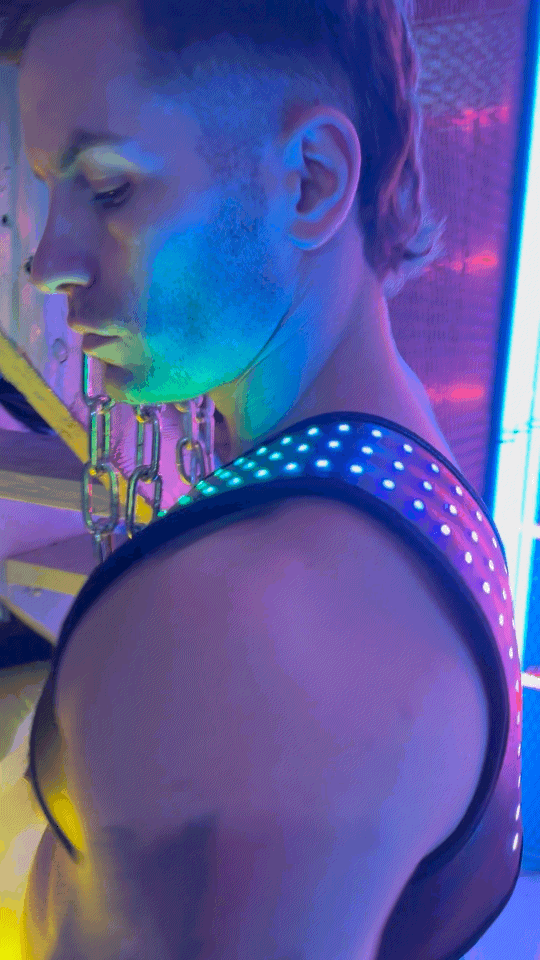 Soundwave Synergy Harness - Breedwell