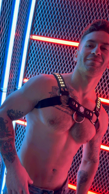Soundwave Bulldog Harness - Breedwell