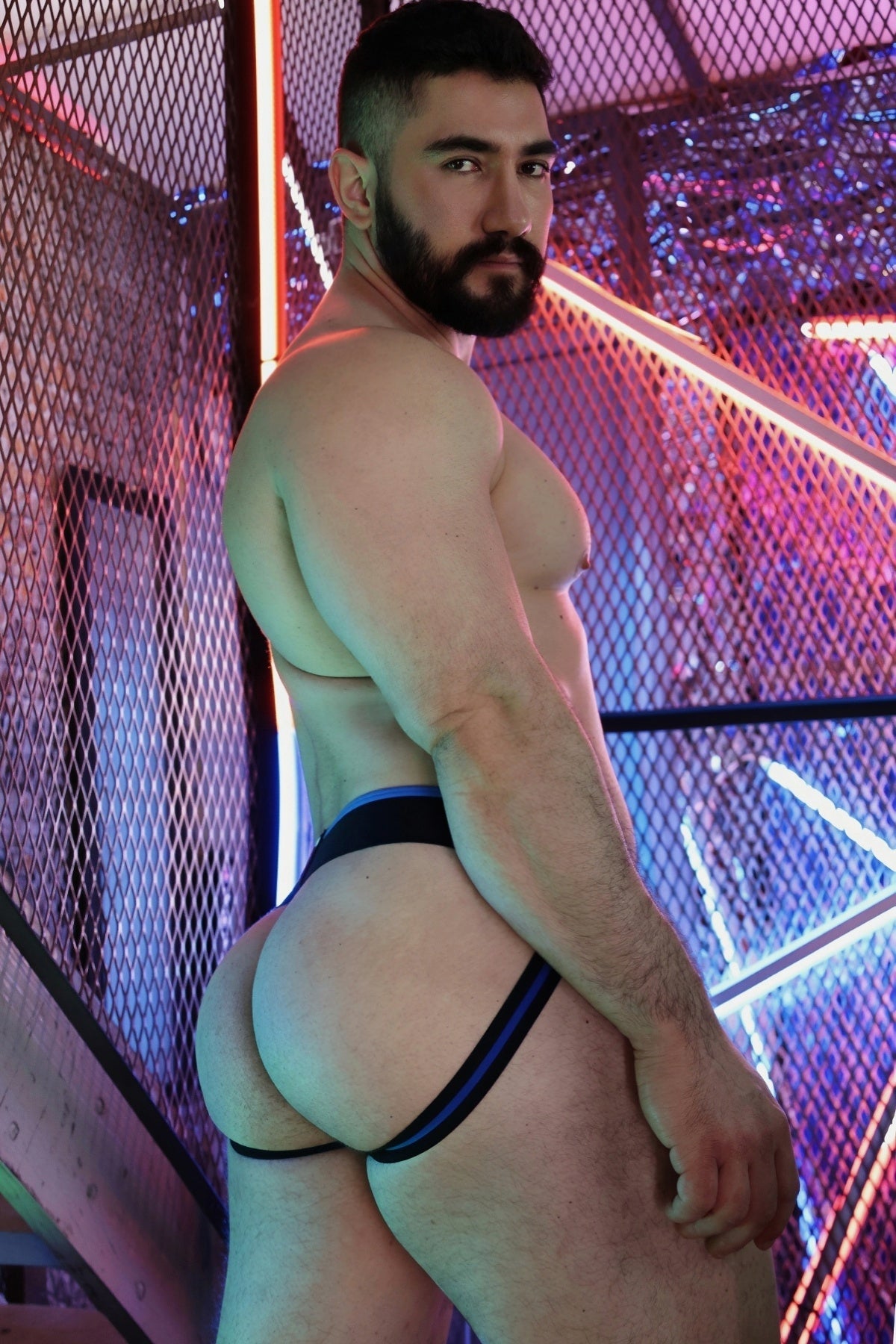 After Dark Jock - Breedwell