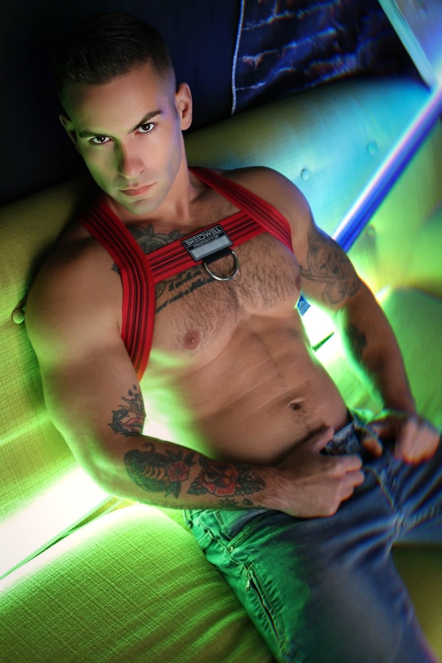 Cumdump Bulldog Harness - Breedwell