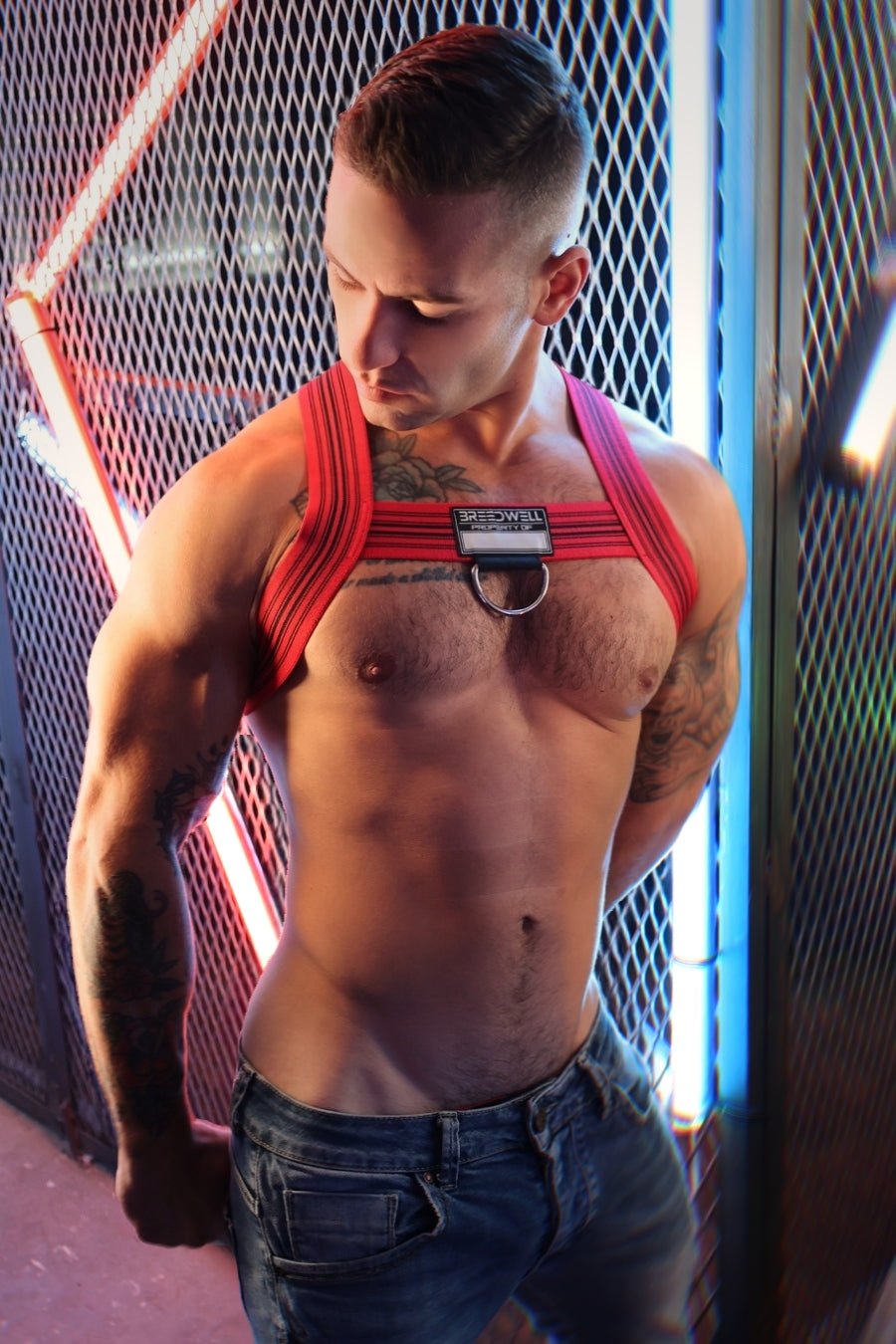 Cumdump Bulldog Harness - Breedwell