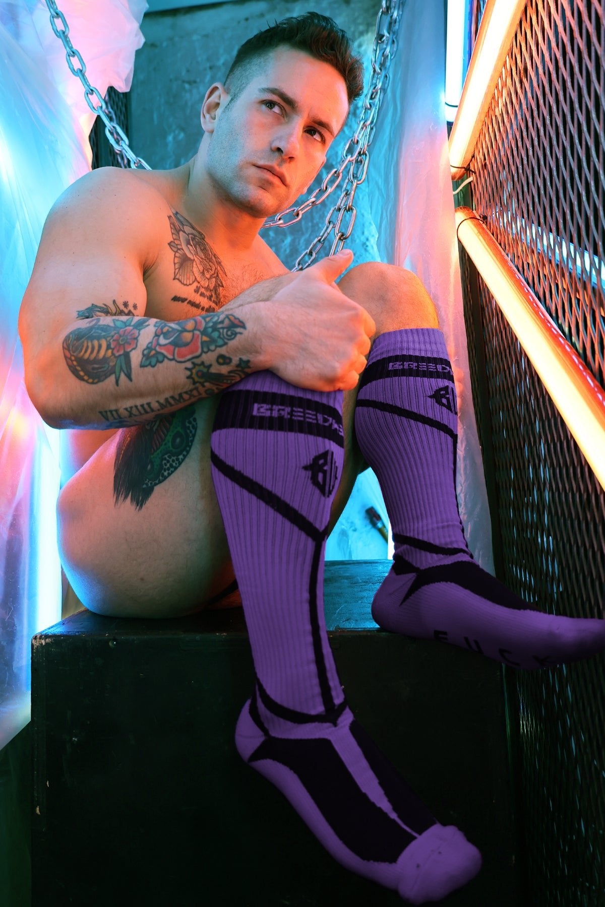 Hook Up Socks - Purple - Breedwell