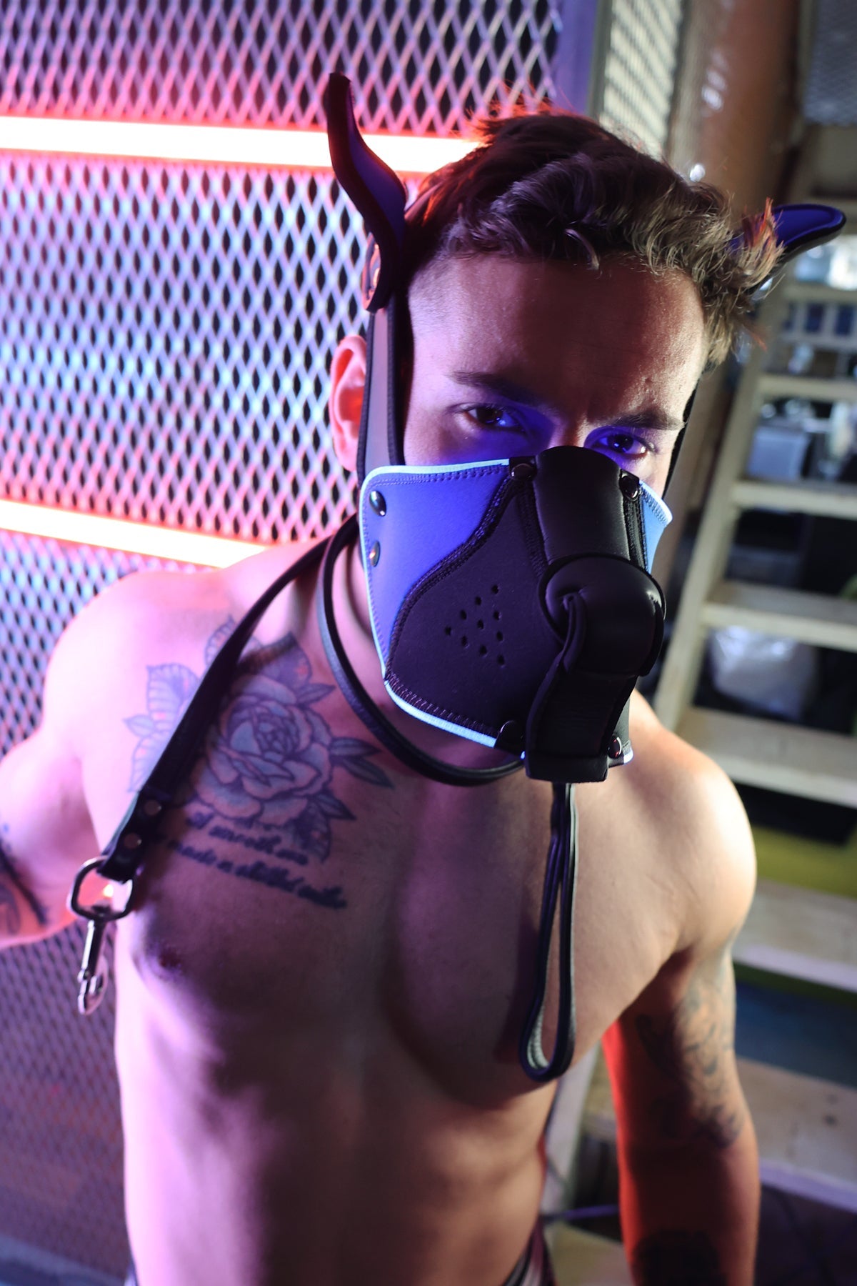 Poundtown Pup Mask 2.0 - Blue - Breedwell