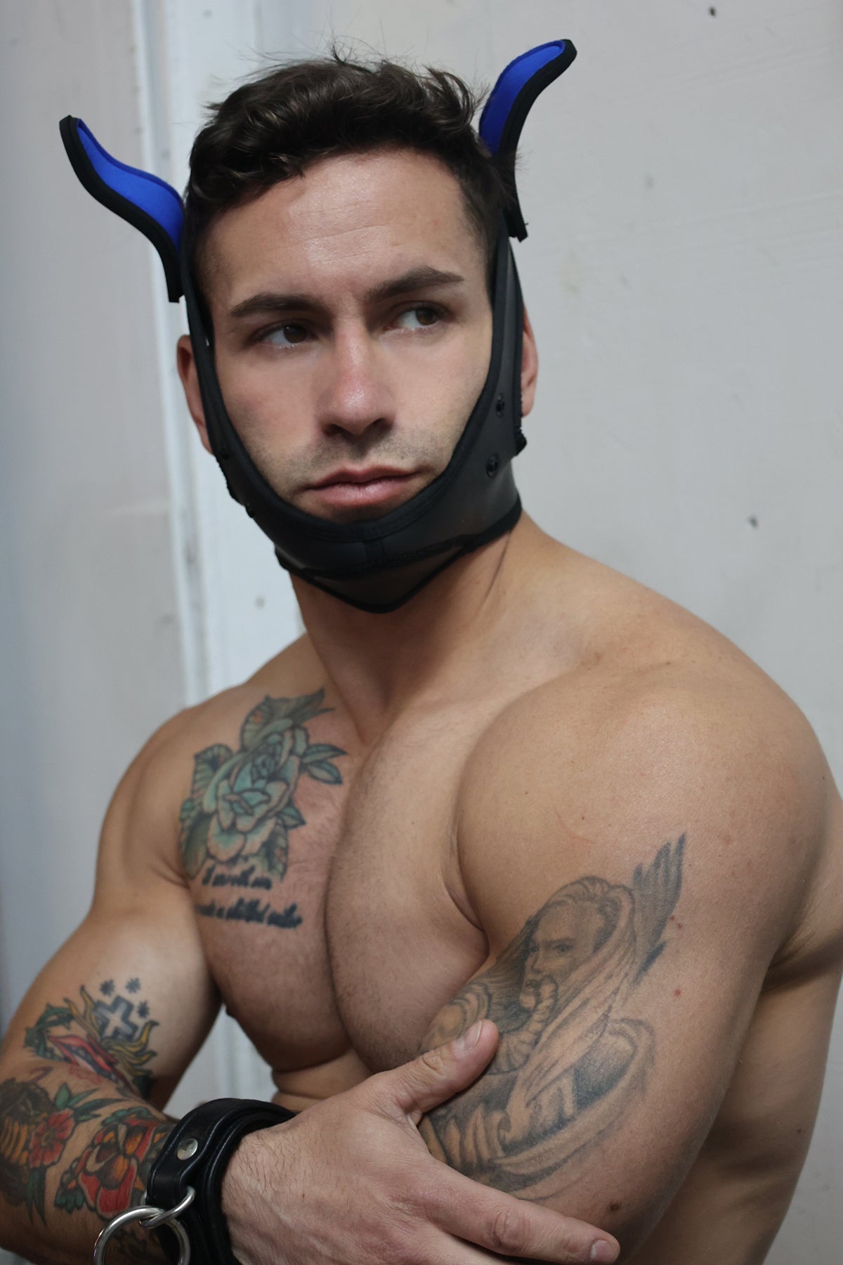 Poundtown Pup Mask 2.0 - Blue - Breedwell