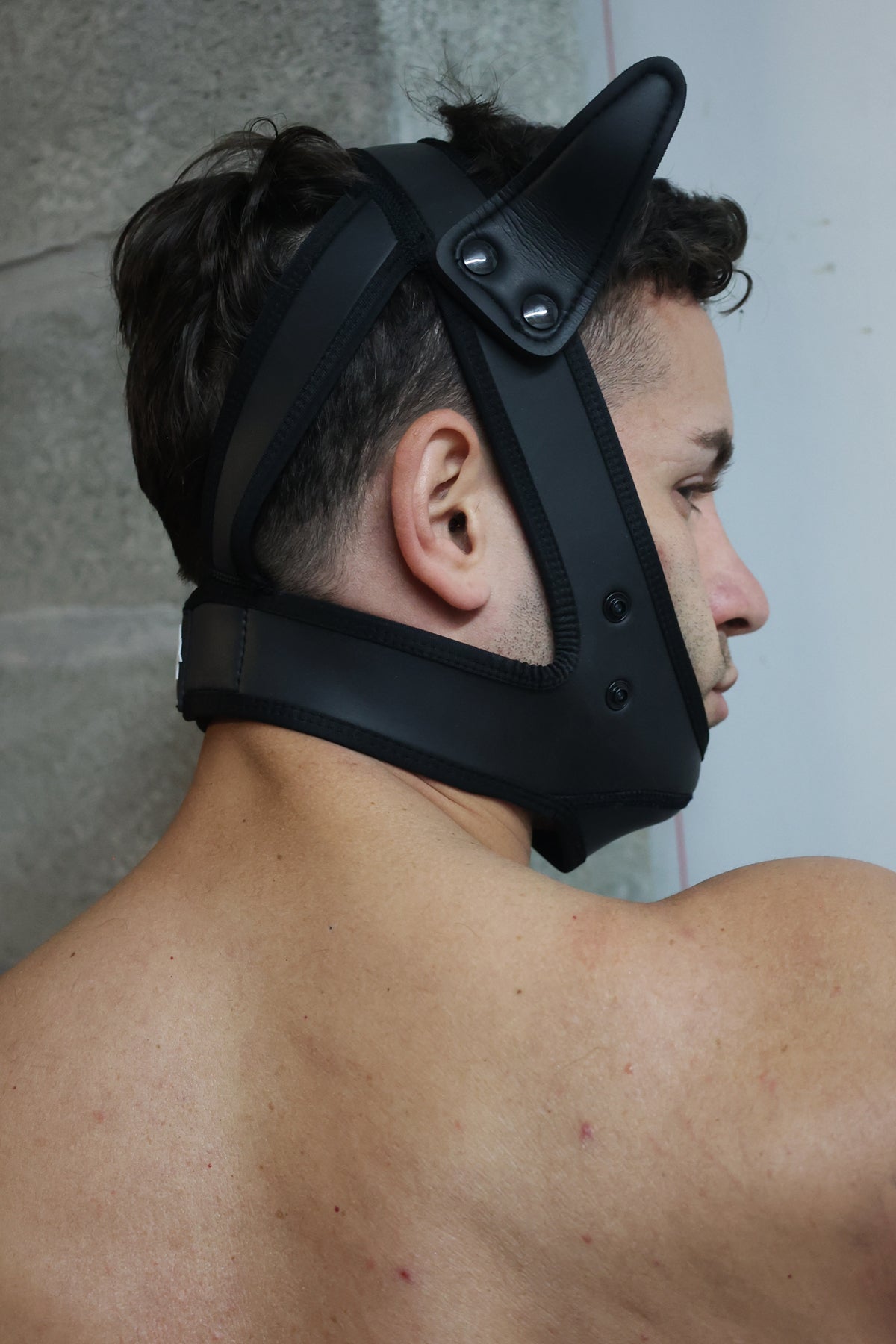 Poundtown Pup Mask 2.0 - Blue - Breedwell