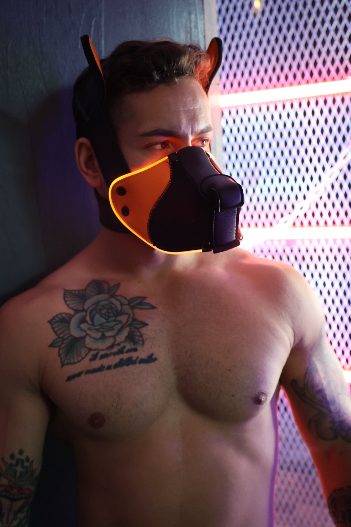 Poundtown Pup Mask 2.0 - Neon Orange - Breedwell