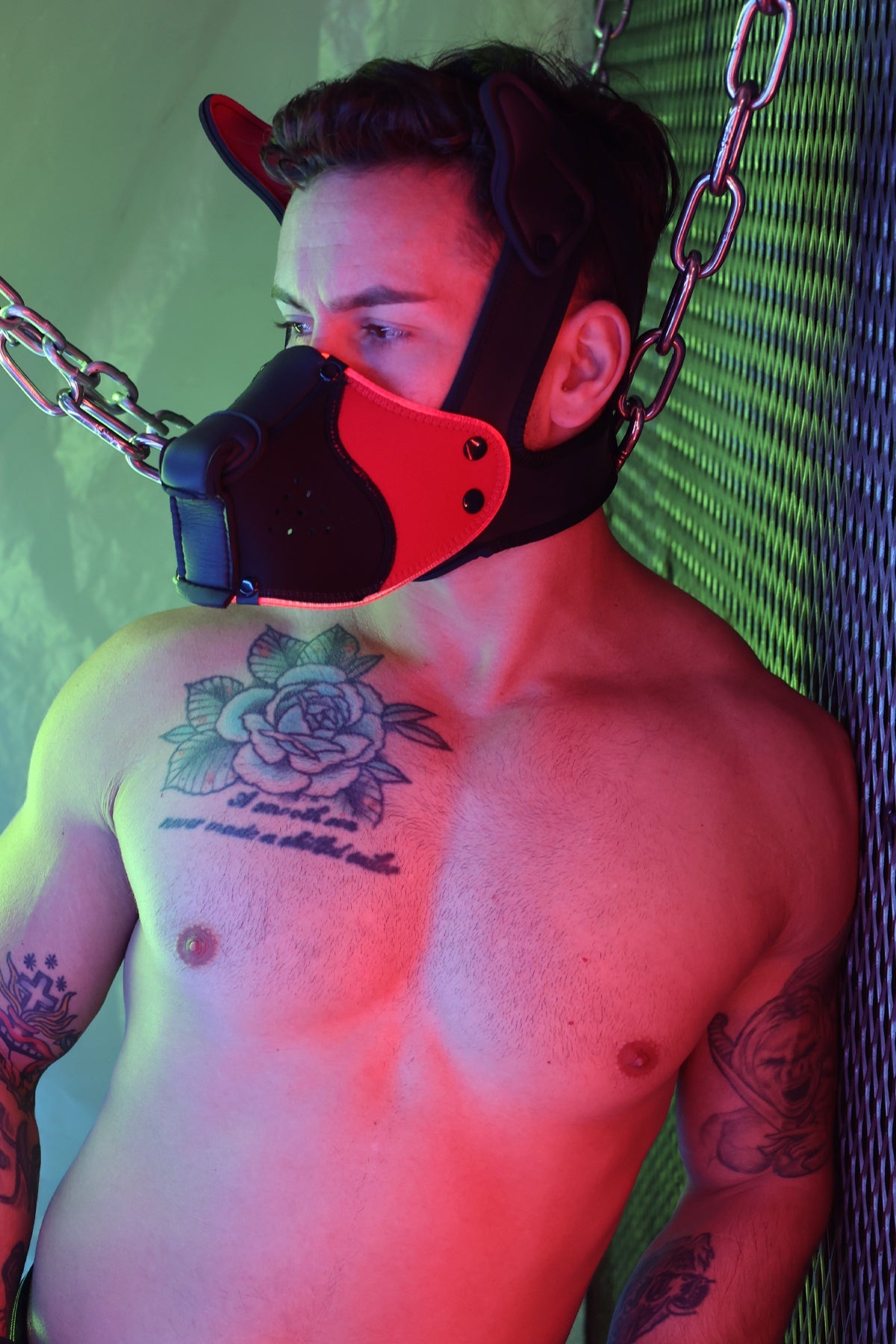Poundtown Pup Mask 2.0 - Red - Breedwell