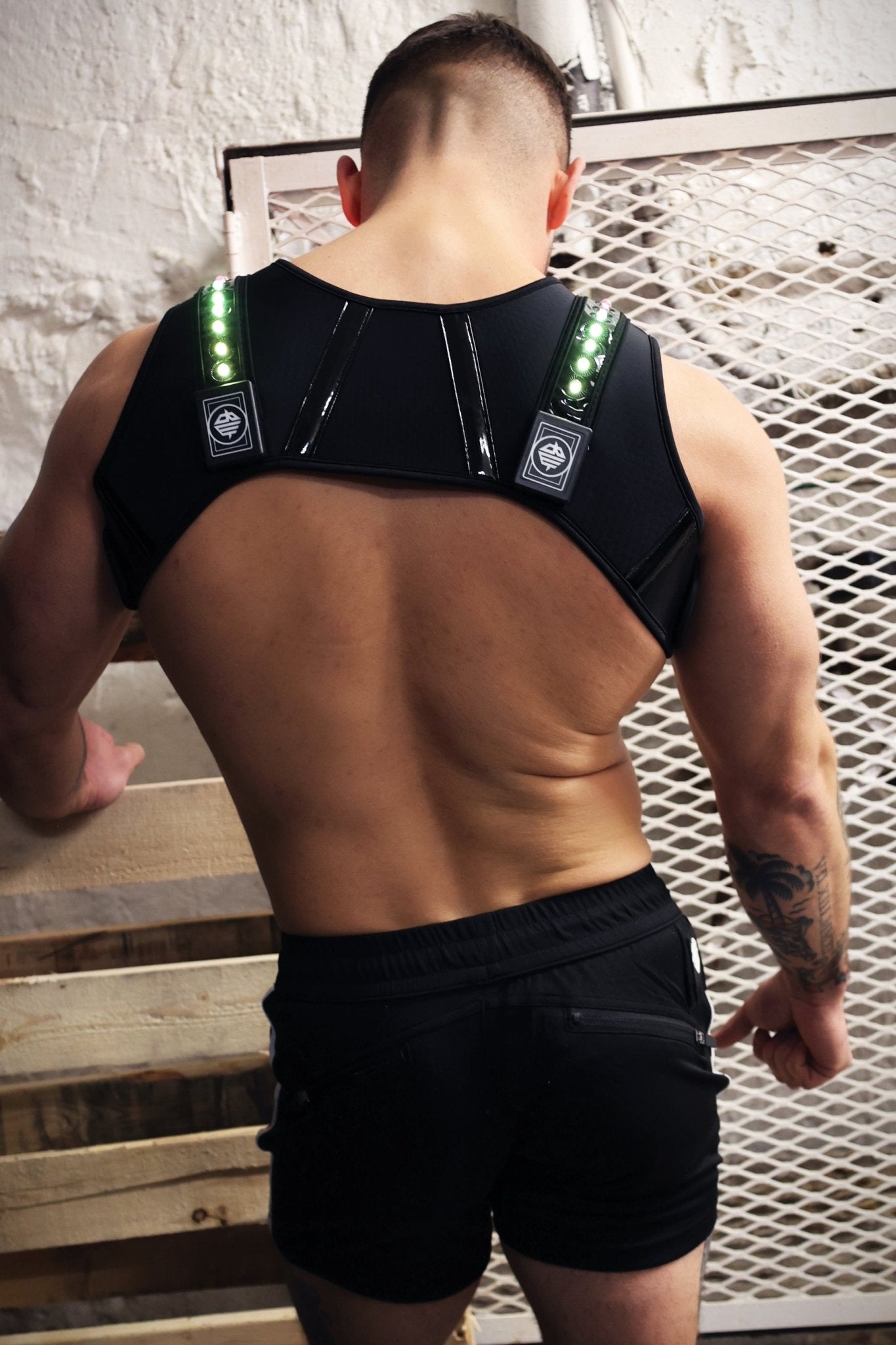 Prismaglow Chest Harness - Breedwell