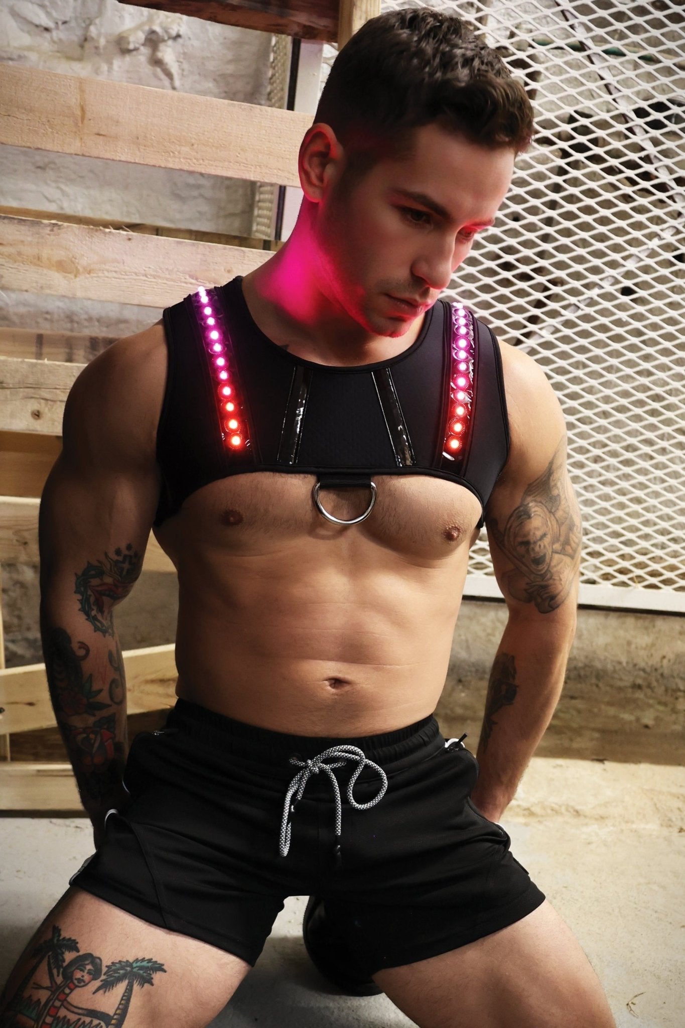 Prismaglow Chest Harness - Breedwell