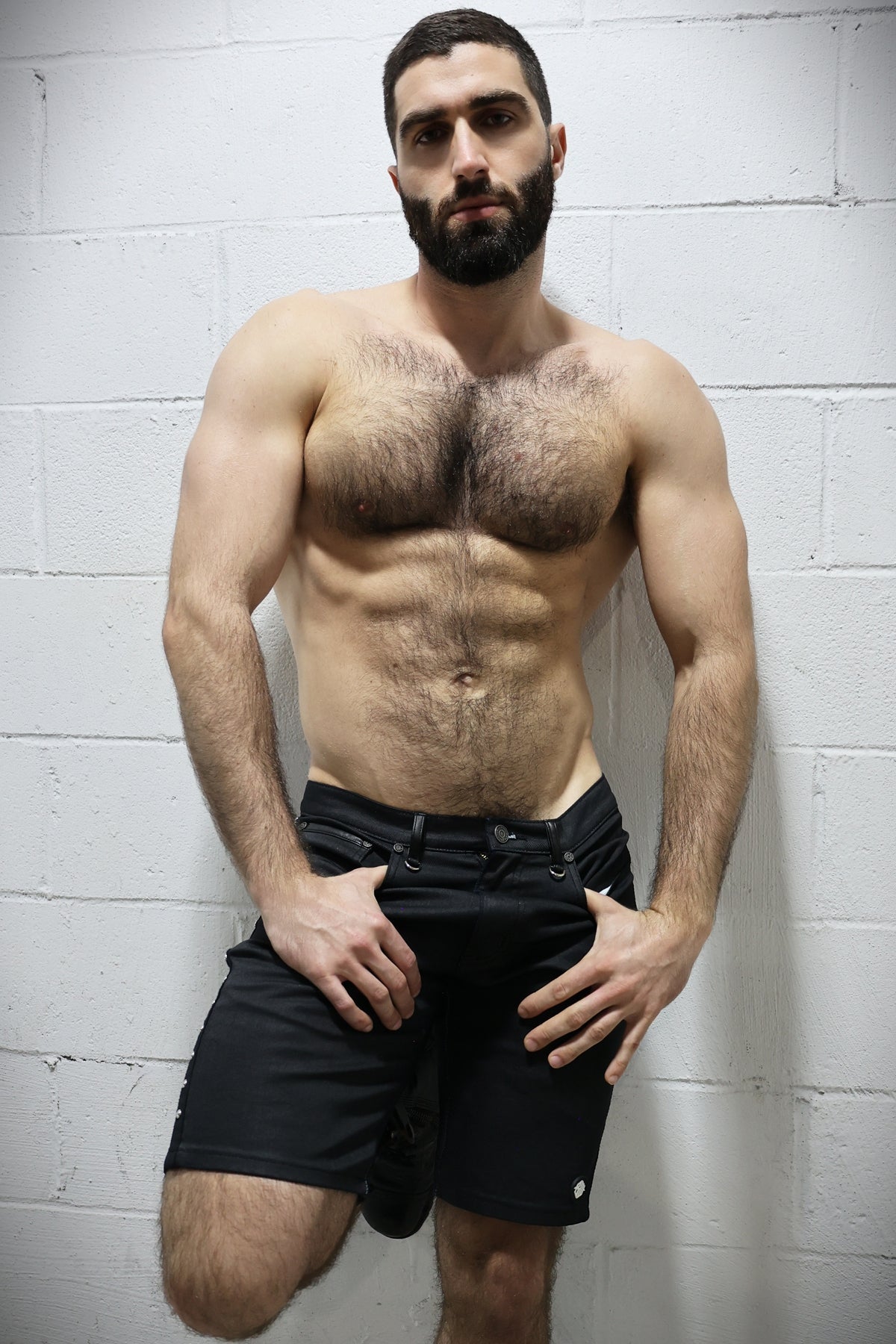 Stud Shorts - Breedwell