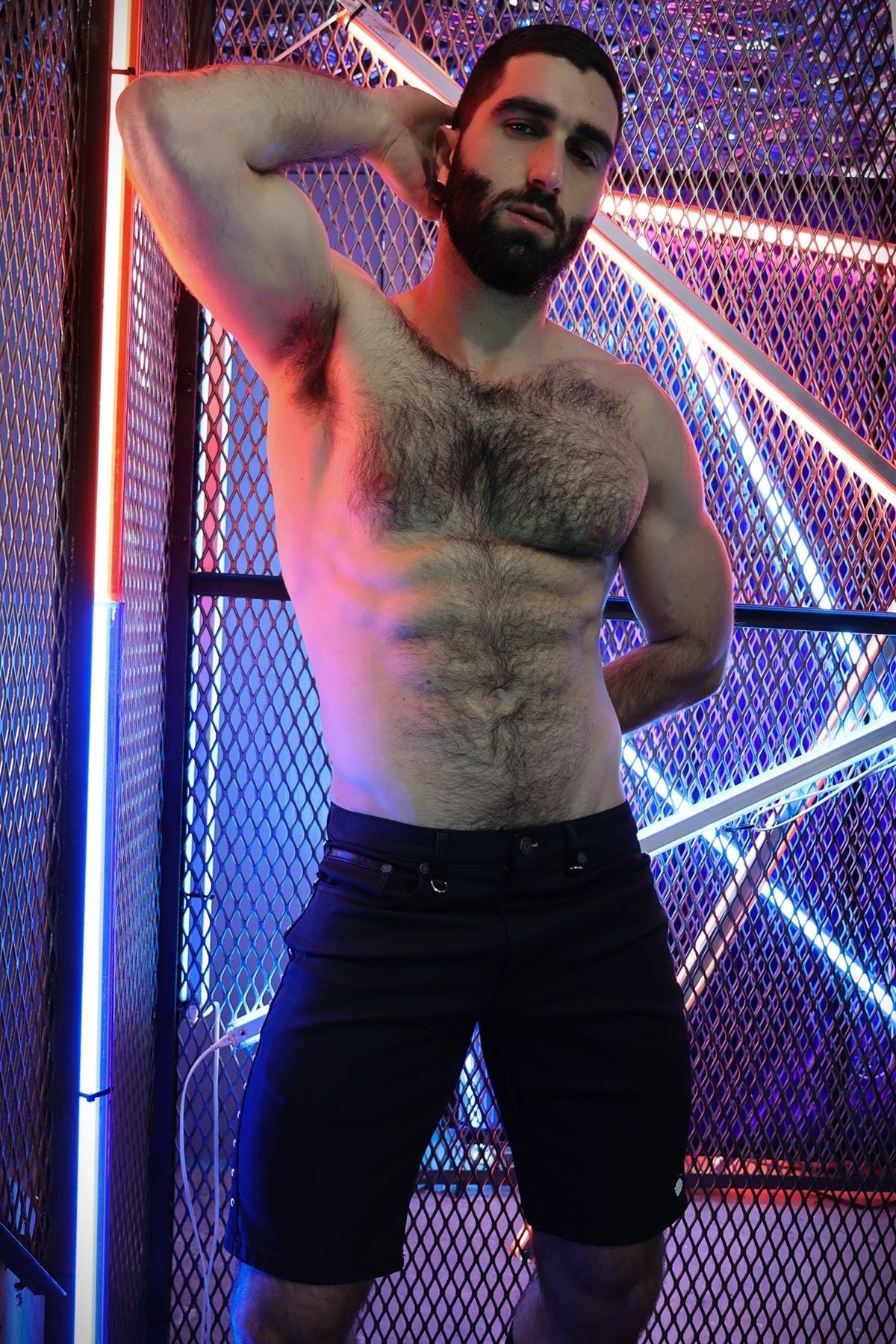 Stud Shorts - Breedwell