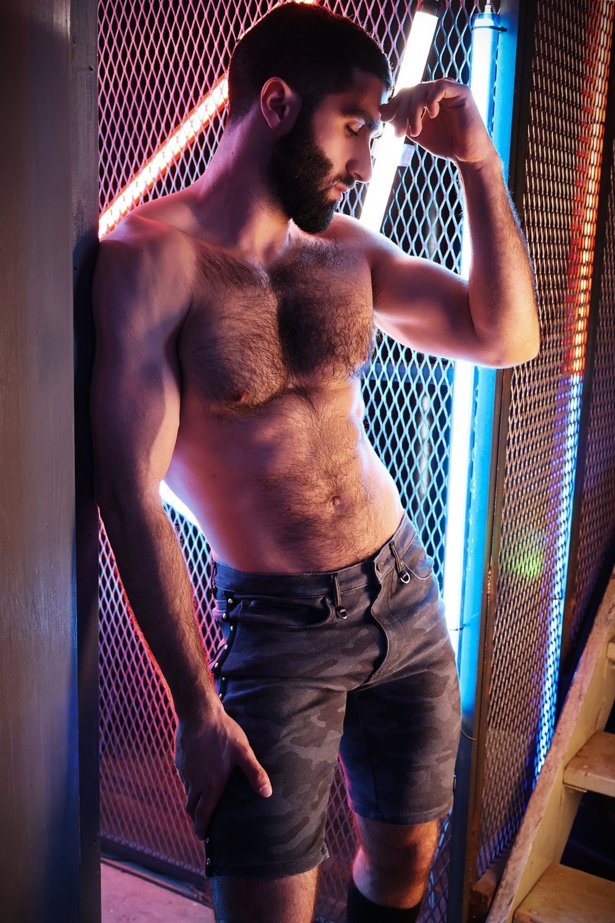 Stud Shorts - Breedwell