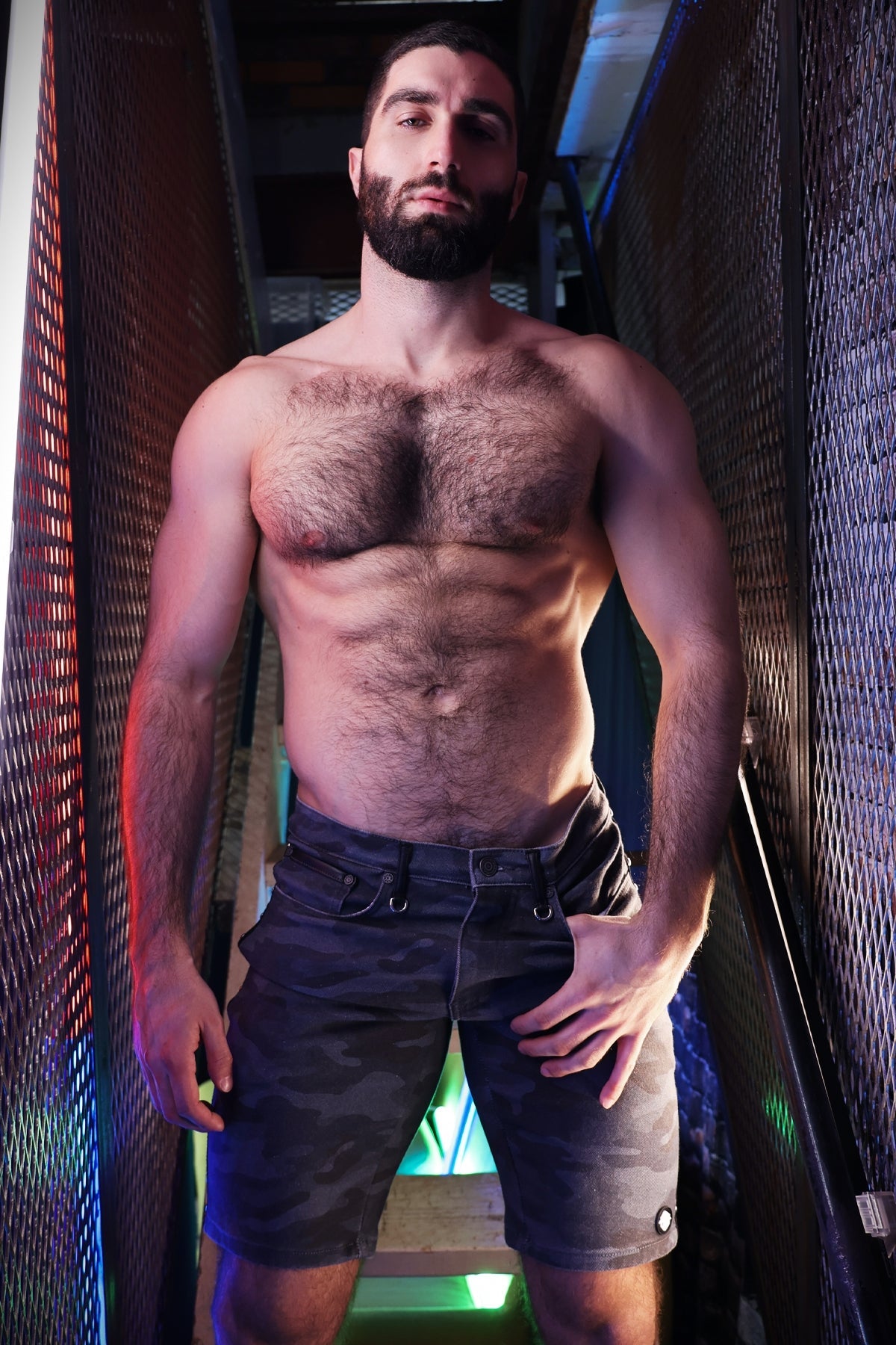 Stud Shorts - Breedwell