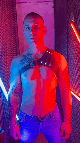 Synergy Harness - Red - Breedwell