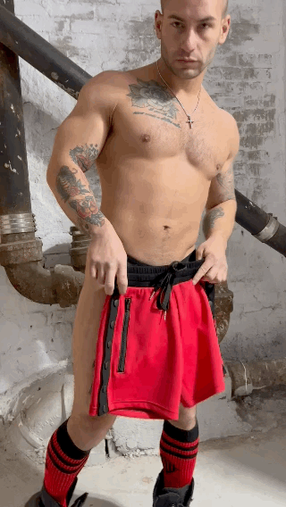 Backpack Shorts - Breedwell
