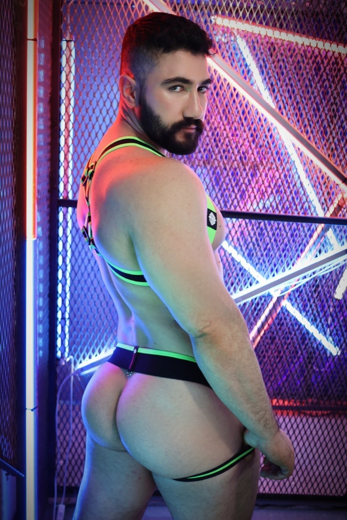 After Dark Body Harness - Breedwell