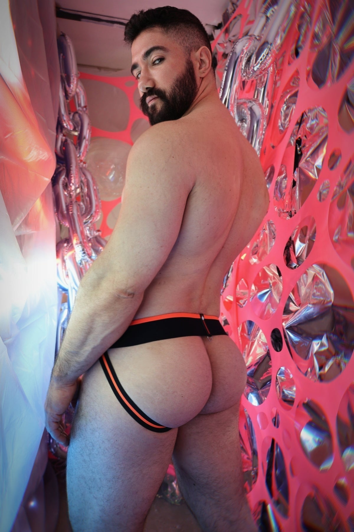 After Dark Jock - Breedwell