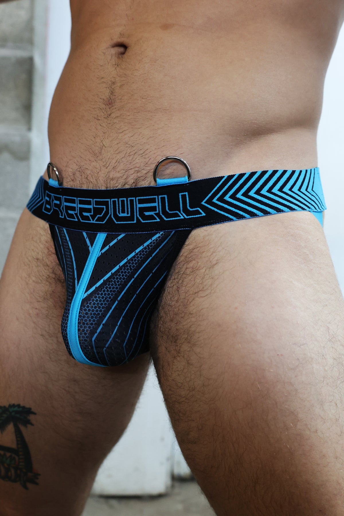 Futura Jock - Breedwell