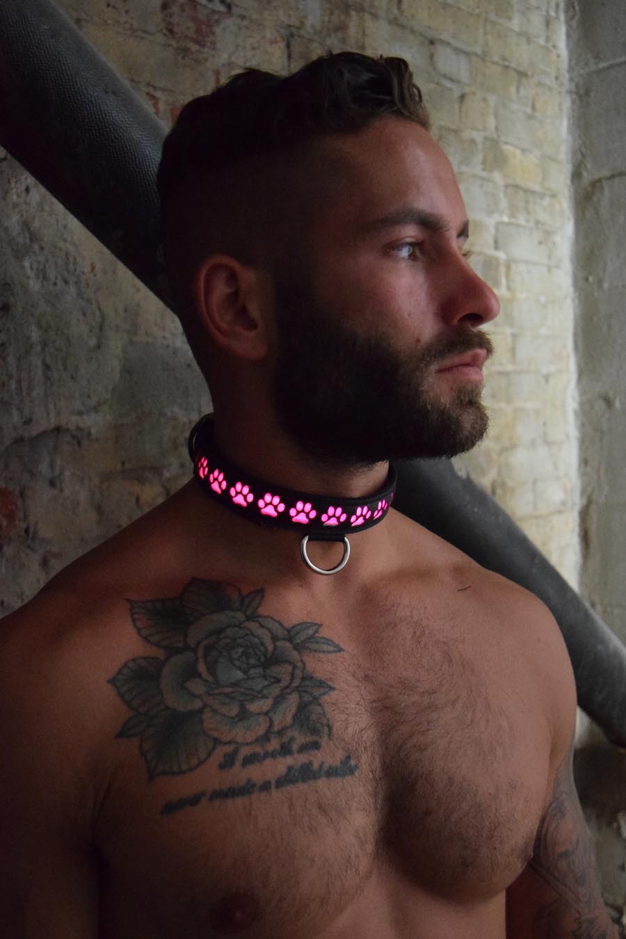 Glow Pup Collar - Breedwell