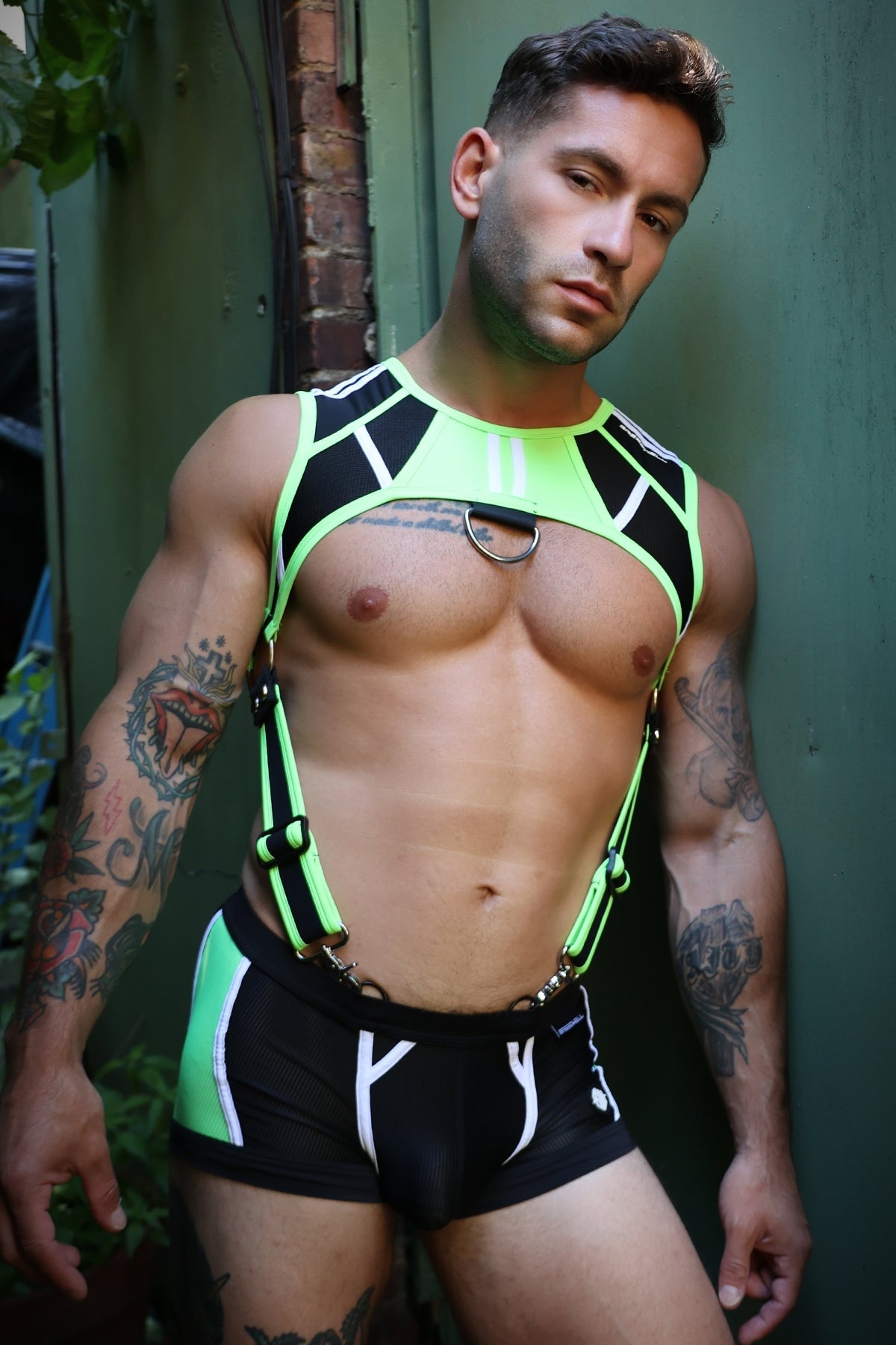 Heatwave Body Harness - Breedwell
