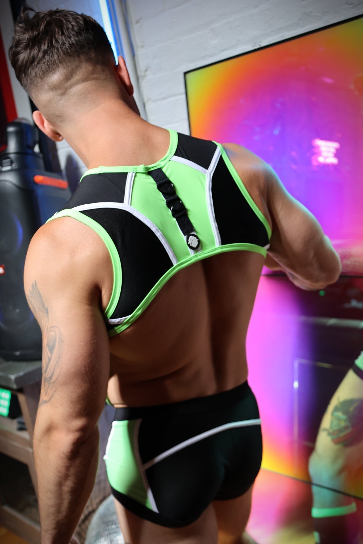 Heatwave Body Harness - Breedwell
