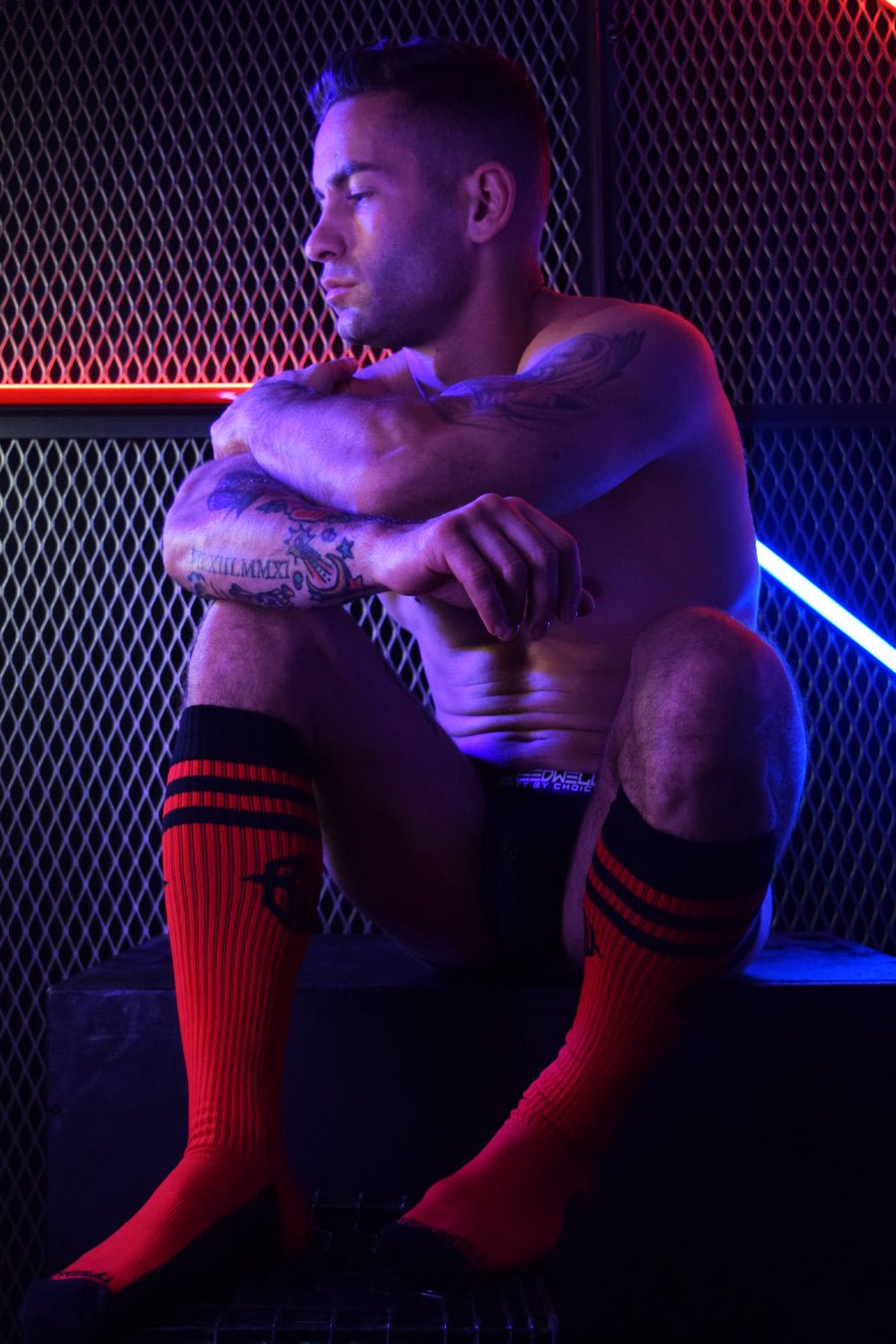 Hex Socks - Breedwell