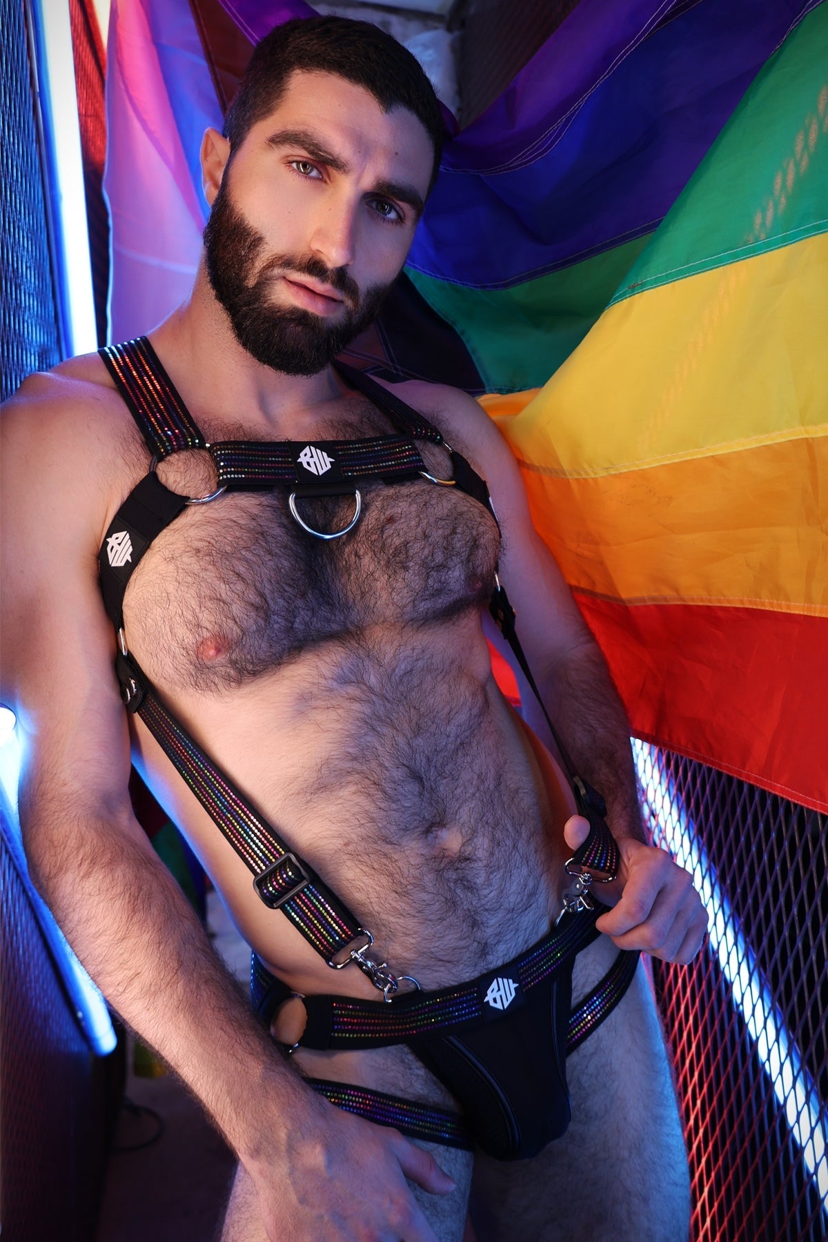 Icon Pride Body Harness - Breedwell