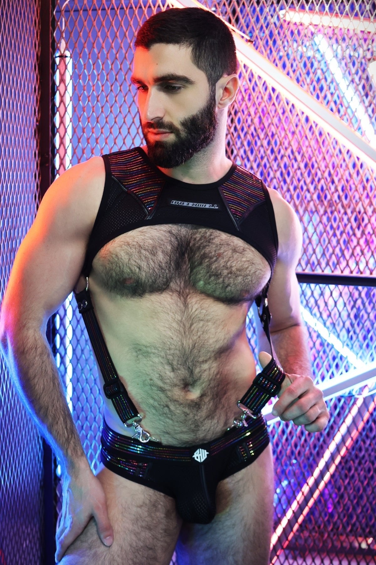 Icon Pride Tank Harness - Breedwell