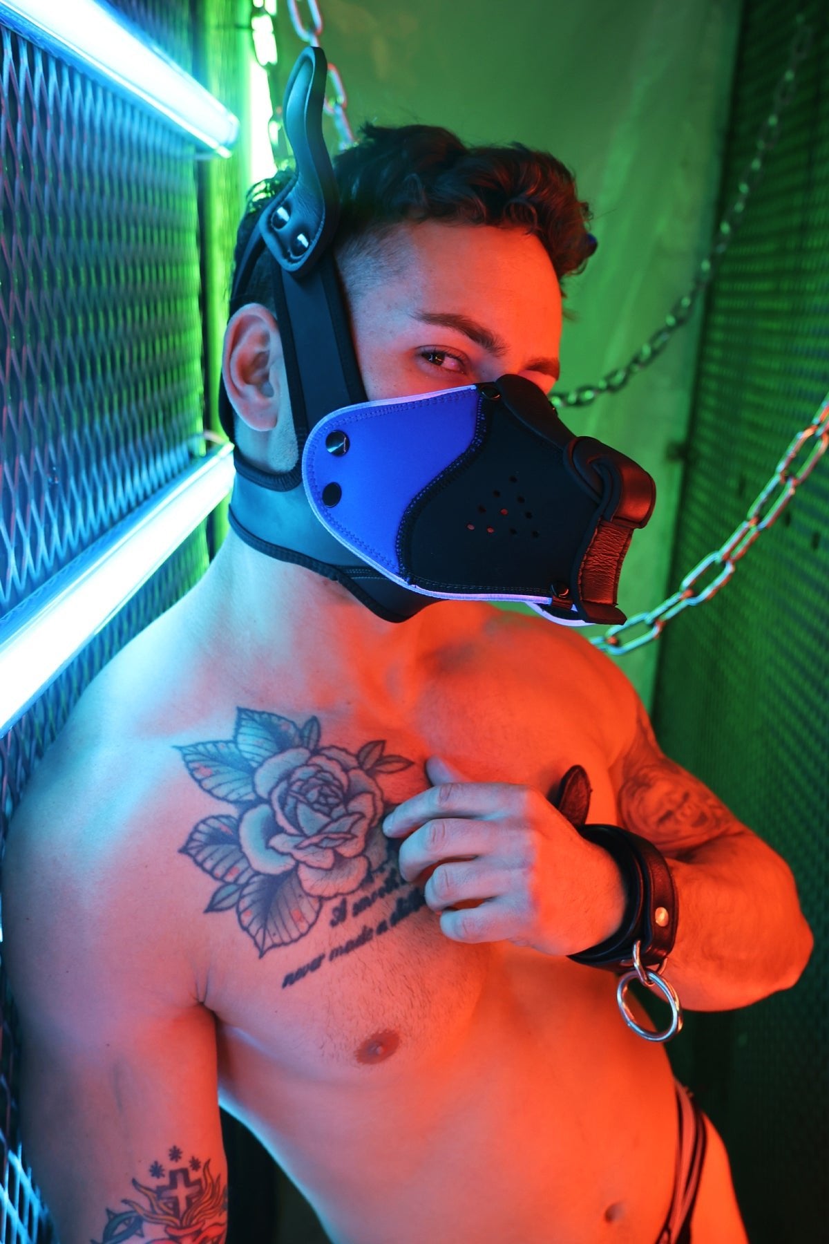 Poundtown Pup Mask 2.0 - Blue - Breedwell