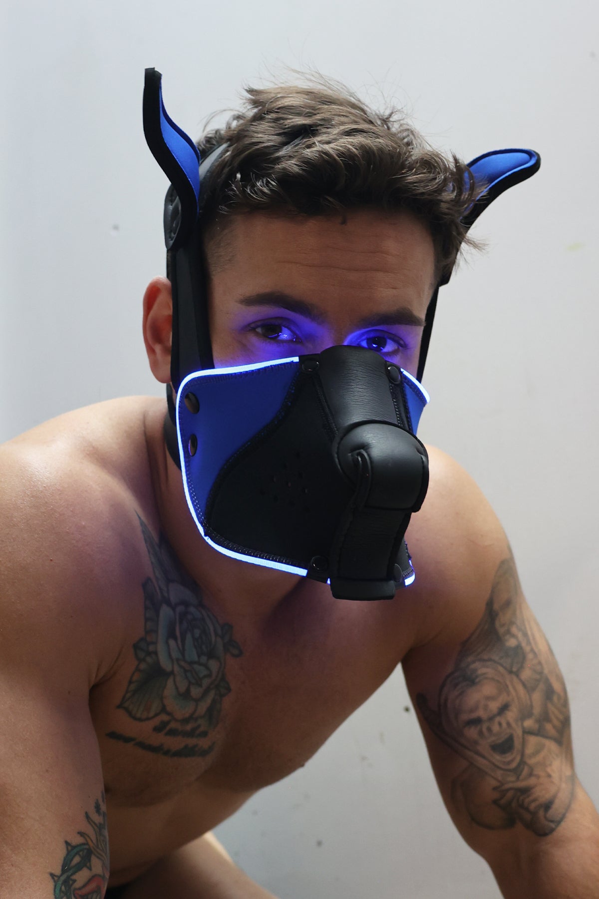 Poundtown Pup Mask 2.0 - Blue - Breedwell