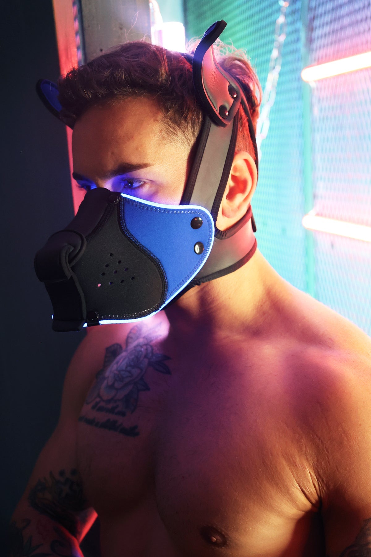 Poundtown Pup Mask 2.0 - Blue - Breedwell