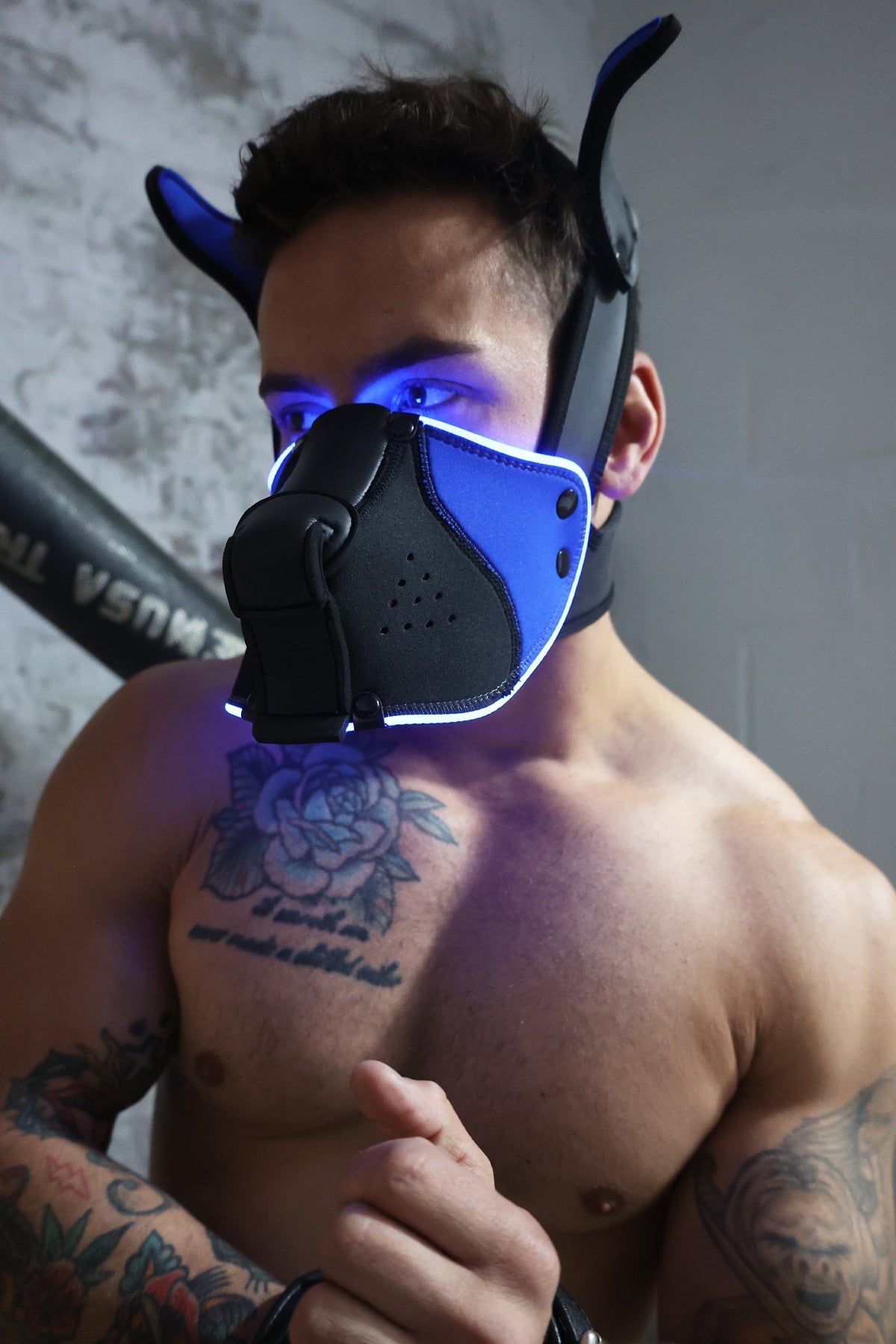 Poundtown Pup Mask 2.0 - Blue - Breedwell