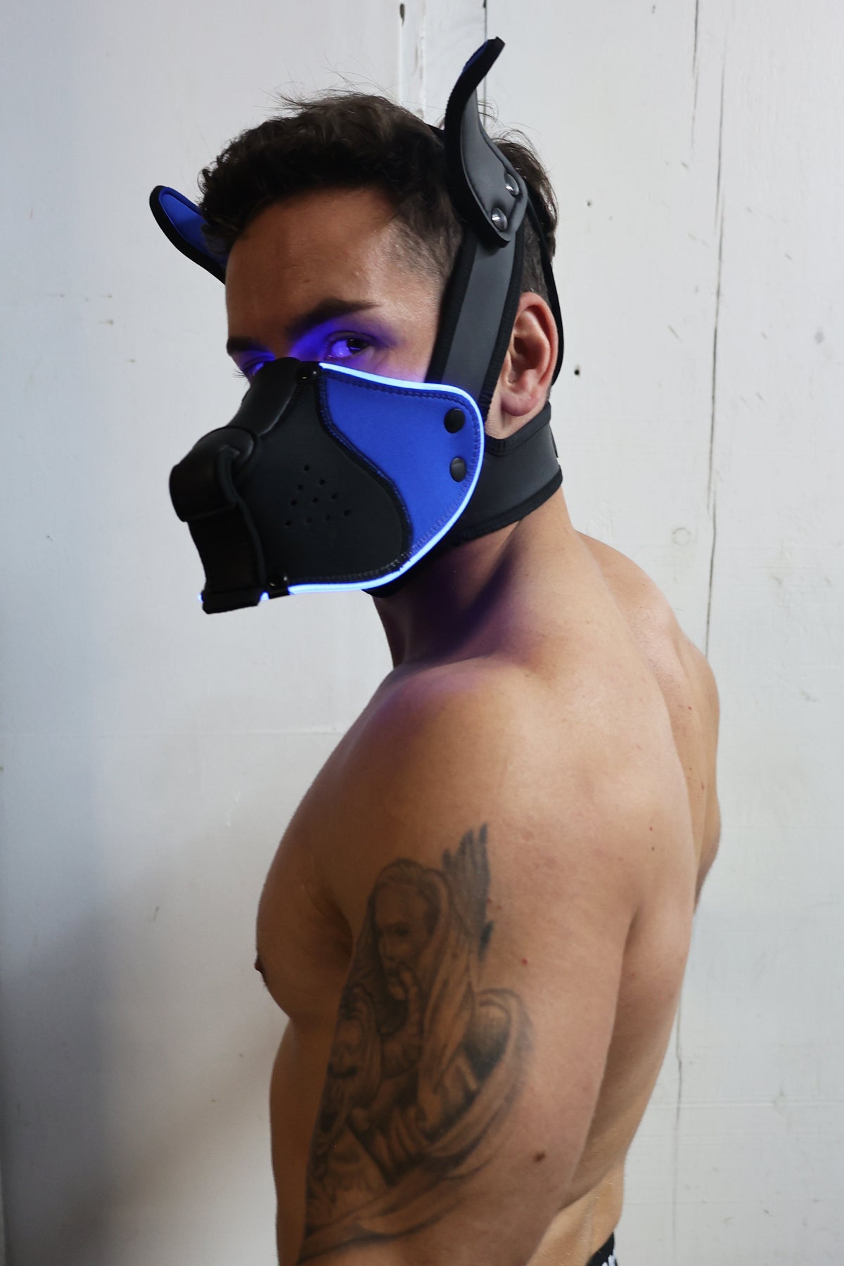 Poundtown Pup Mask 2.0 - Blue - Breedwell