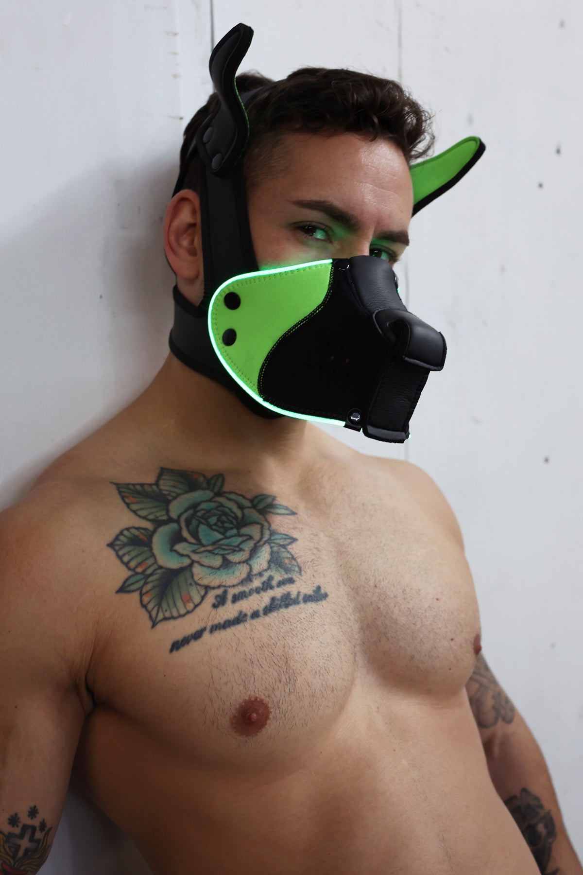 Poundtown Pup Mask 2.0 - Neon Green - Breedwell