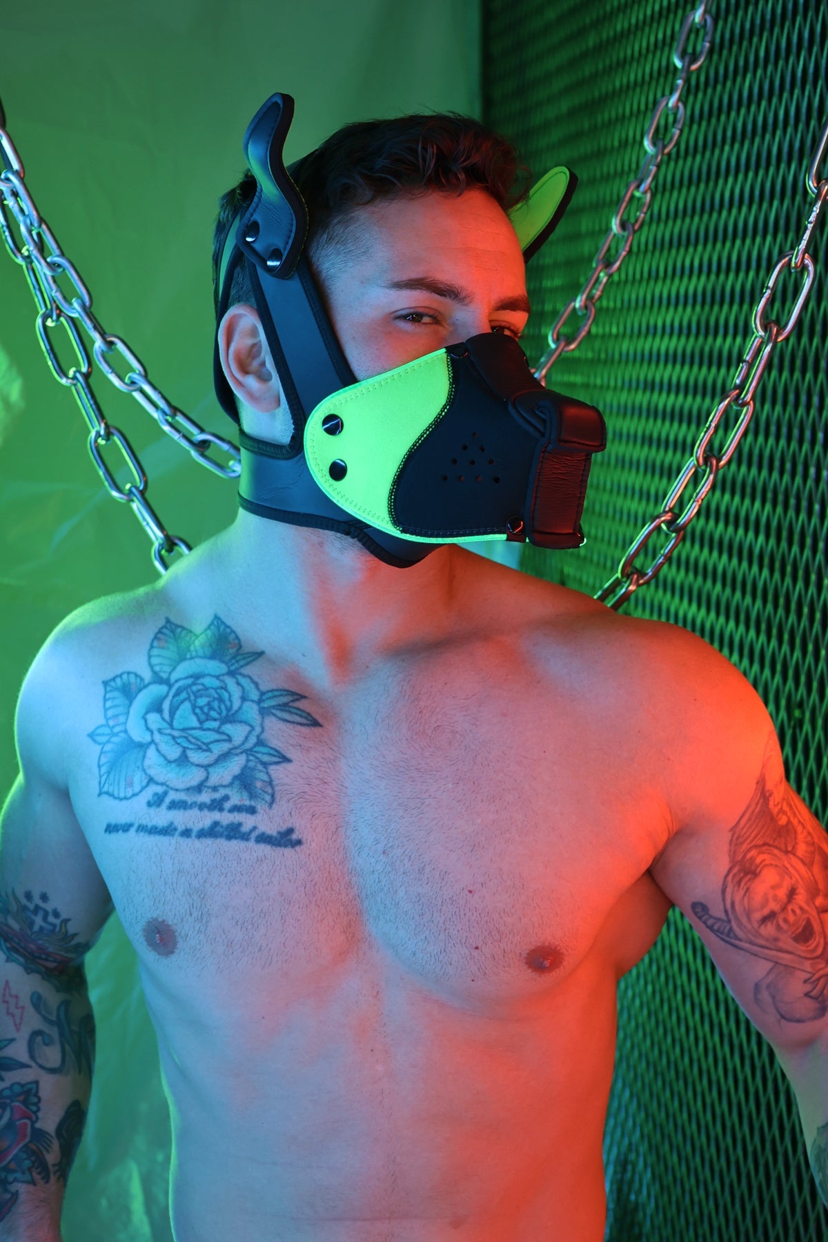 Poundtown Pup Mask 2.0 - Neon Green - Breedwell