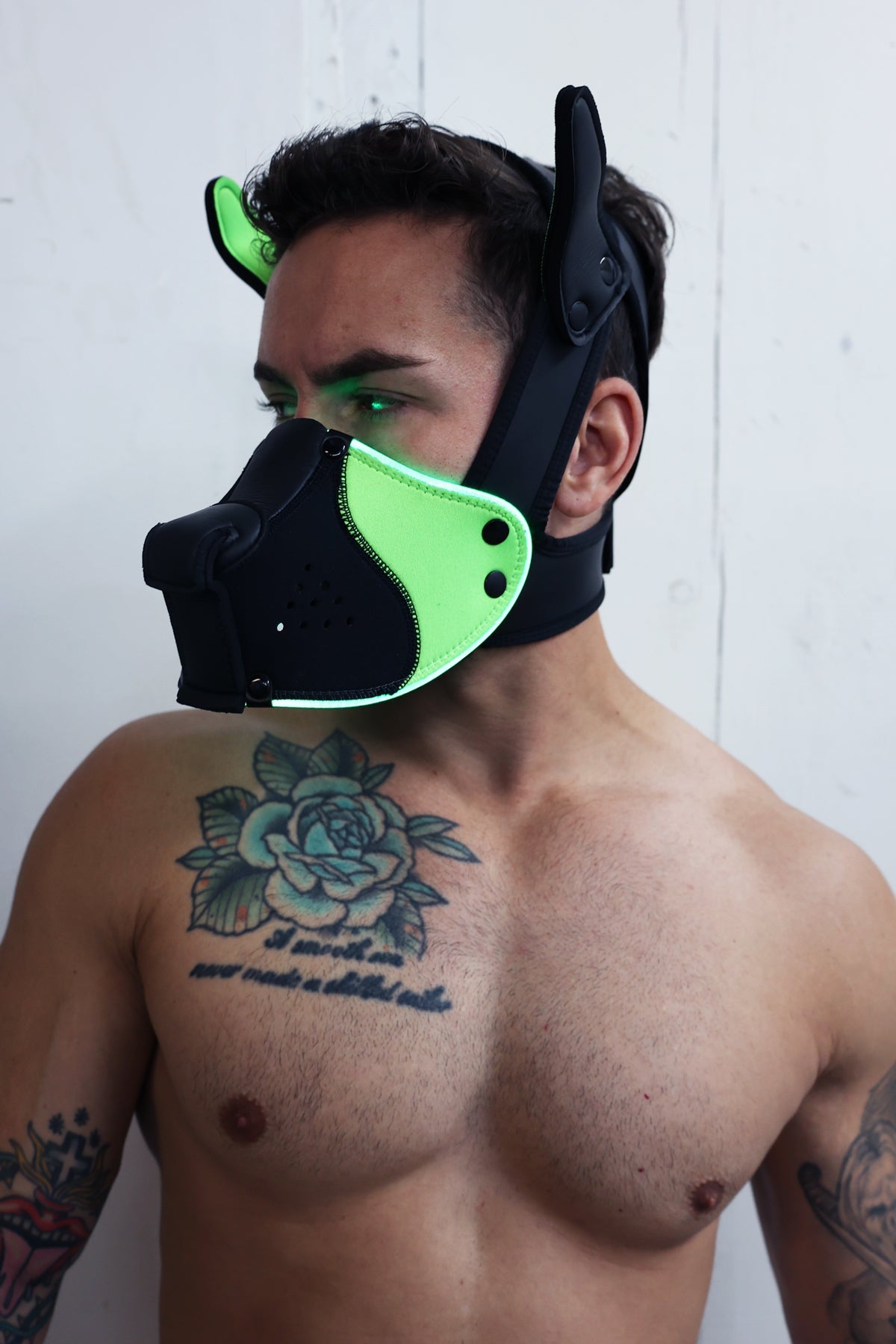 Poundtown Pup Mask 2.0 - Neon Green - Breedwell