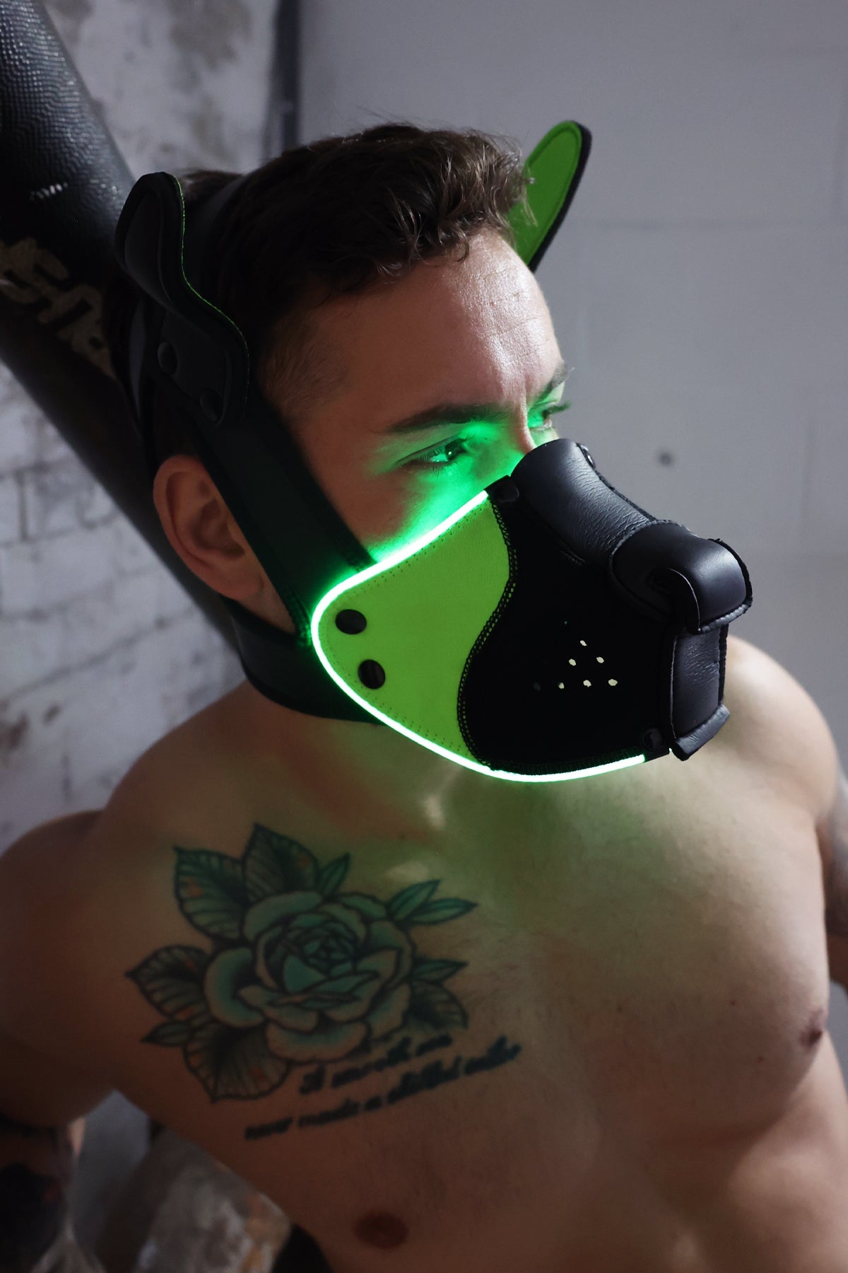 Poundtown Pup Mask 2.0 - Neon Green - Breedwell