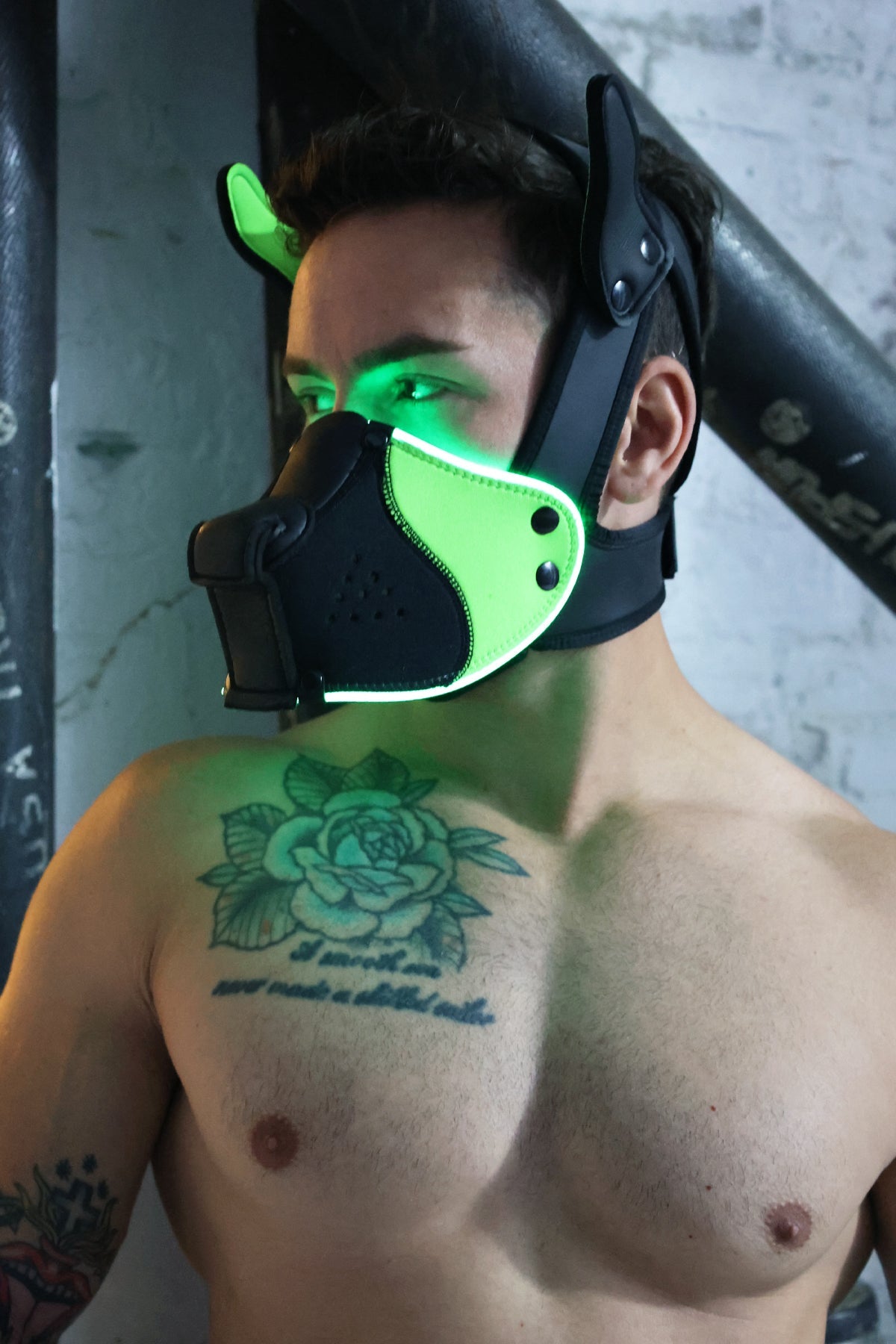 Poundtown Pup Mask 2.0 - Neon Green - Breedwell