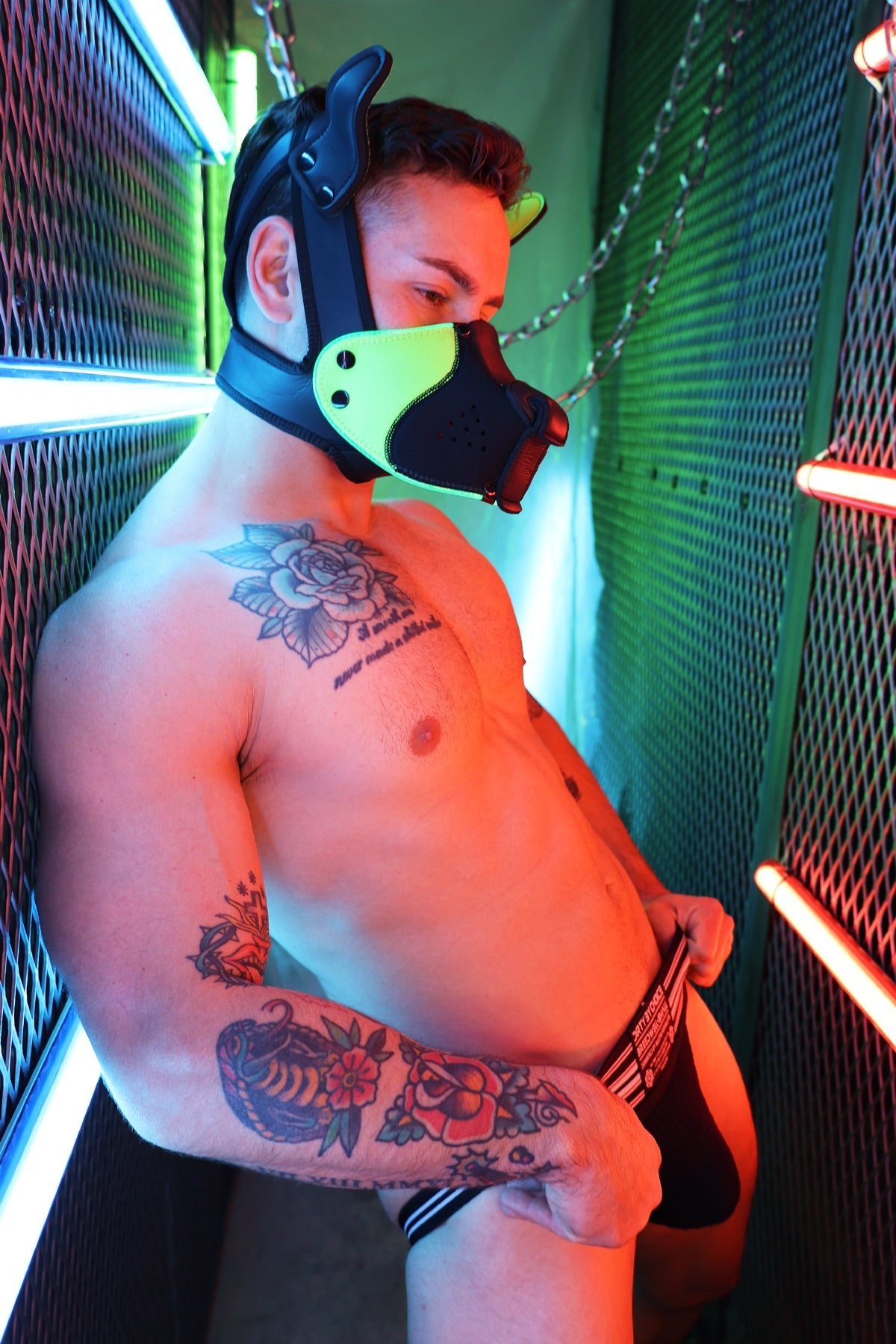 Poundtown Pup Mask 2.0 - Neon Green - Breedwell