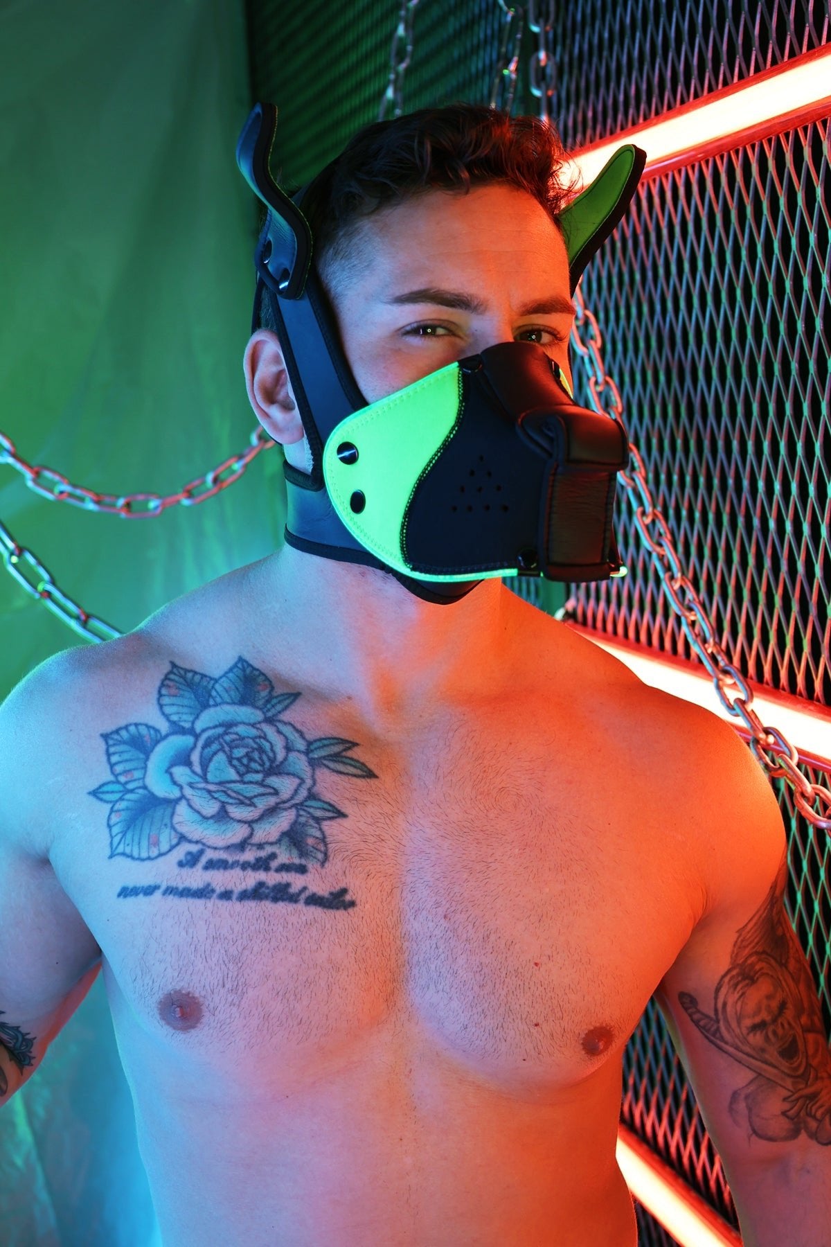 Poundtown Pup Mask 2.0 - Neon Green - Breedwell