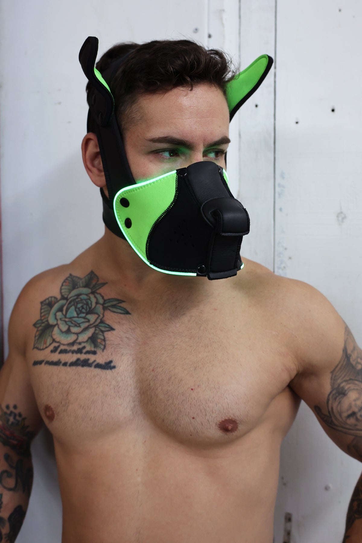 Poundtown Pup Mask 2.0 - Neon Green - Breedwell