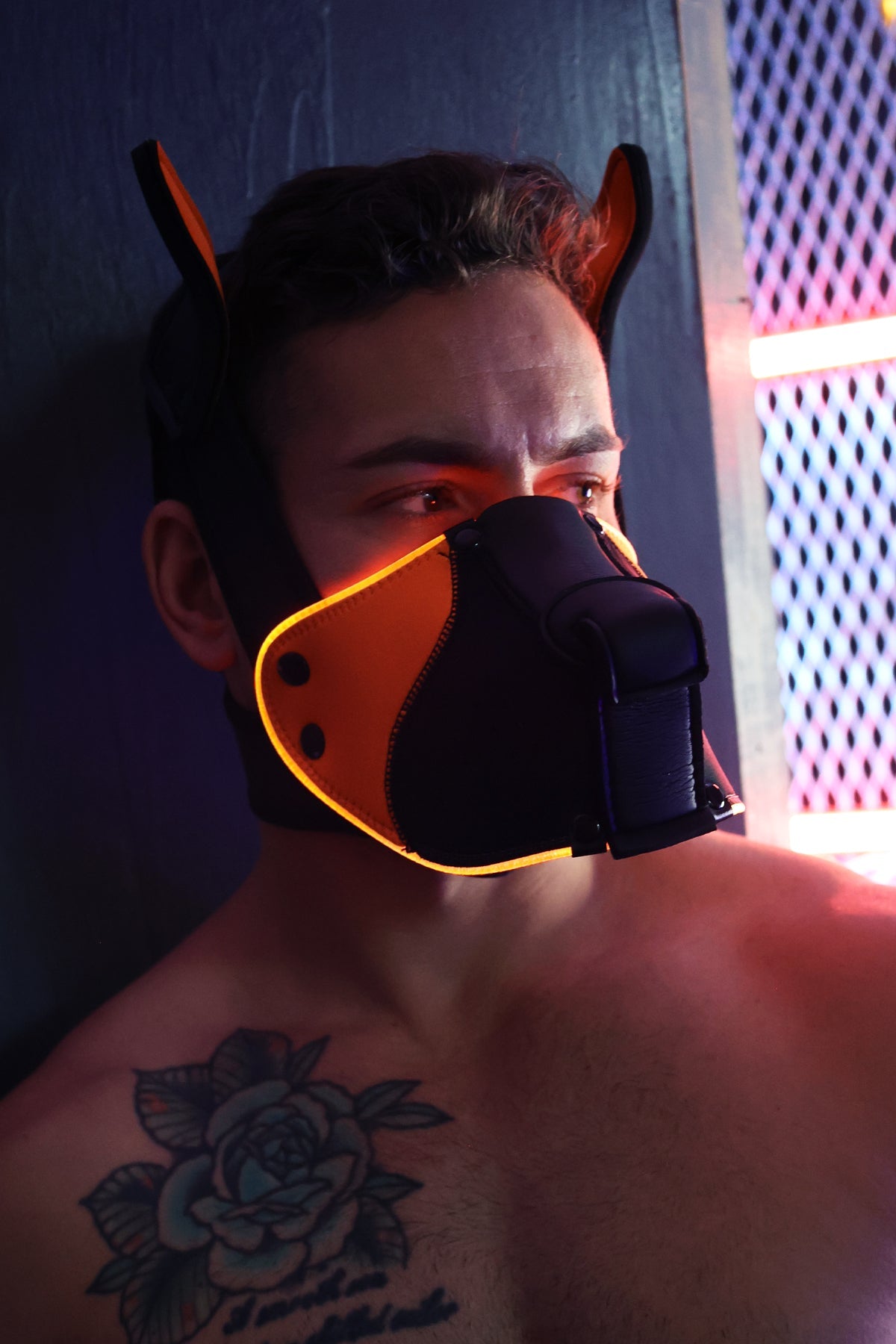 Poundtown Pup Mask 2.0 - Neon Orange - Breedwell