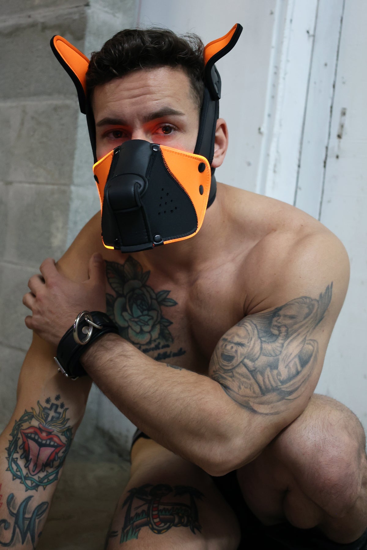 Poundtown Pup Mask 2.0 - Neon Orange - Breedwell