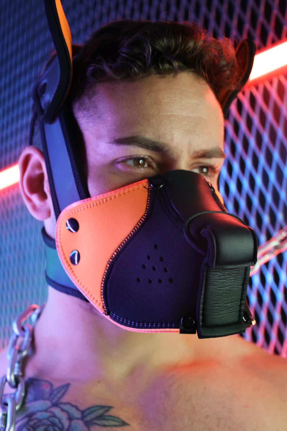 Poundtown Pup Mask 2.0 - Neon Orange - Breedwell