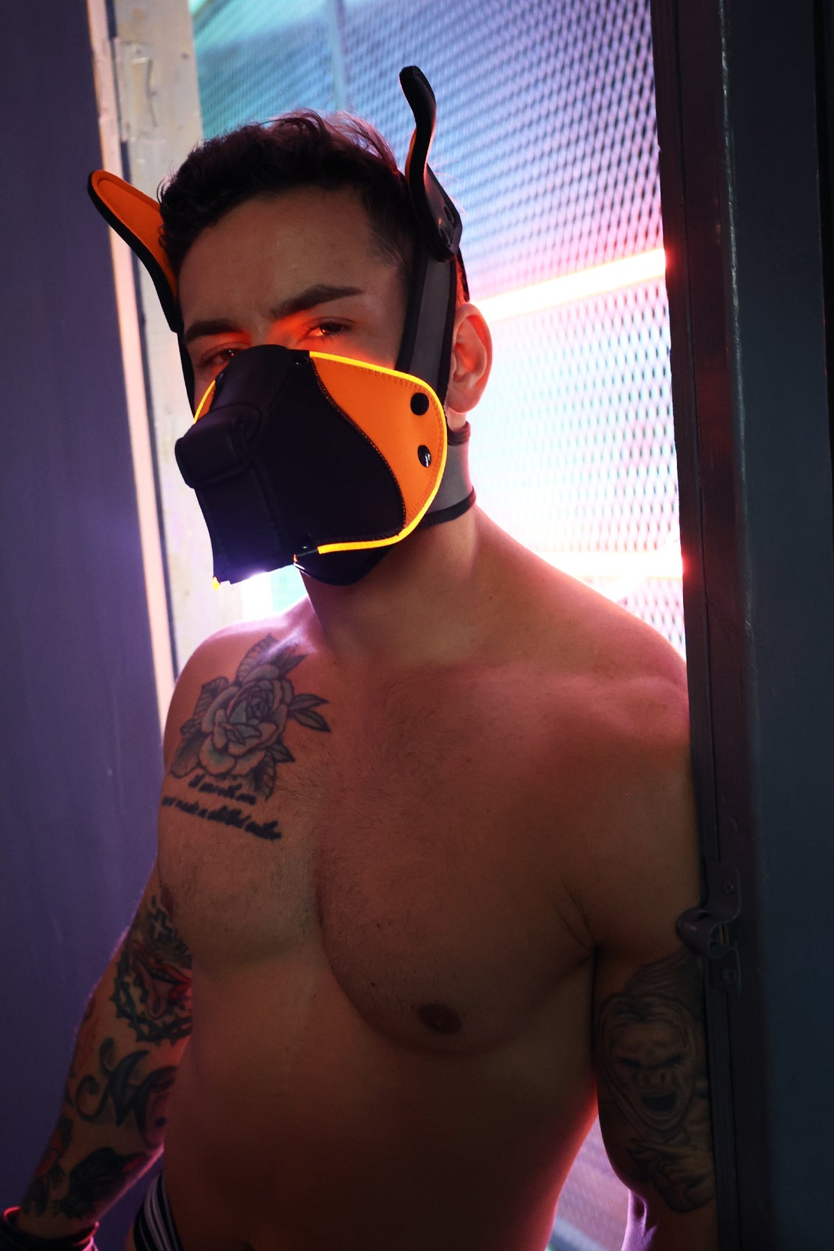 Poundtown Pup Mask 2.0 - Neon Orange - Breedwell