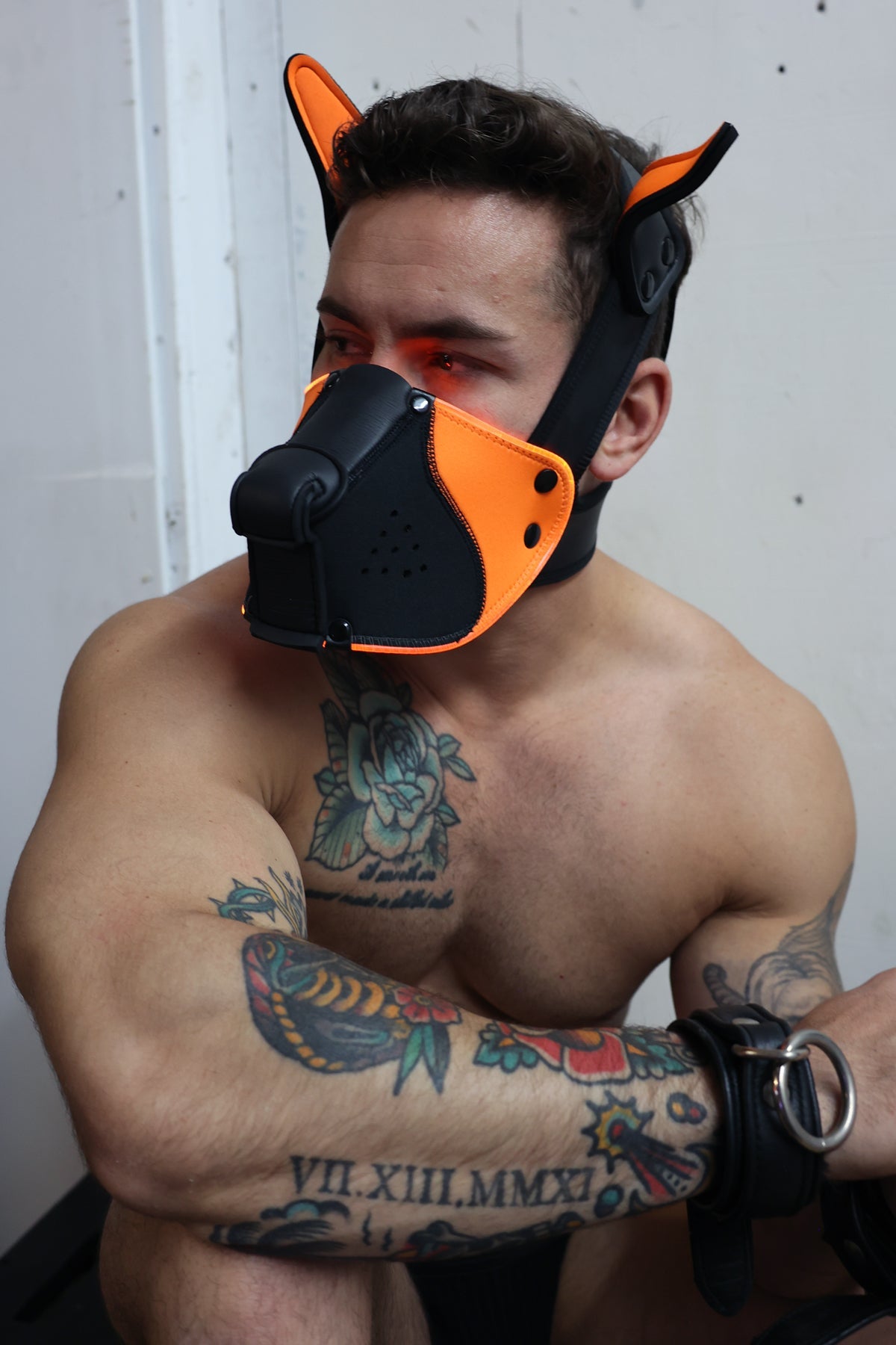 Poundtown Pup Mask 2.0 - Neon Orange - Breedwell