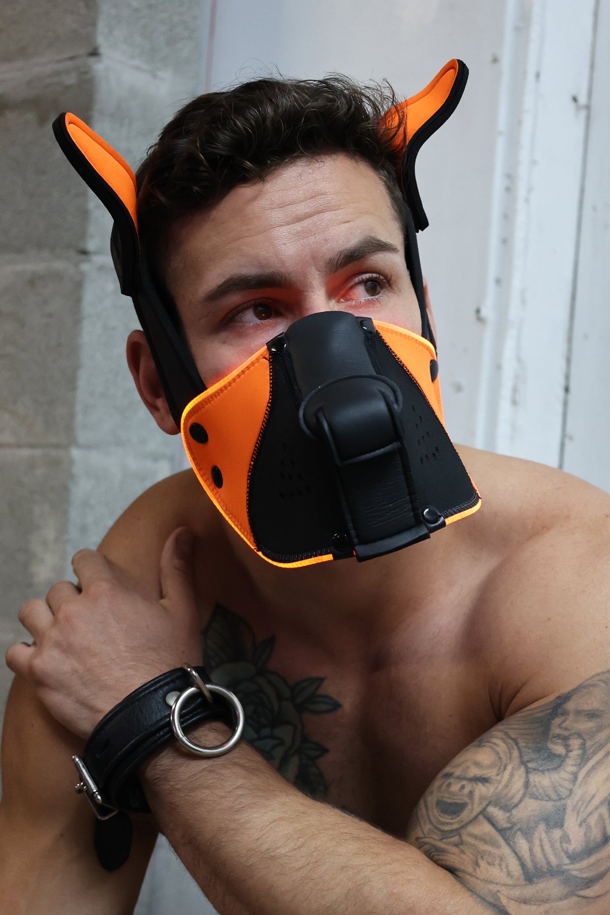 Poundtown Pup Mask 2.0 - Neon Orange - Breedwell