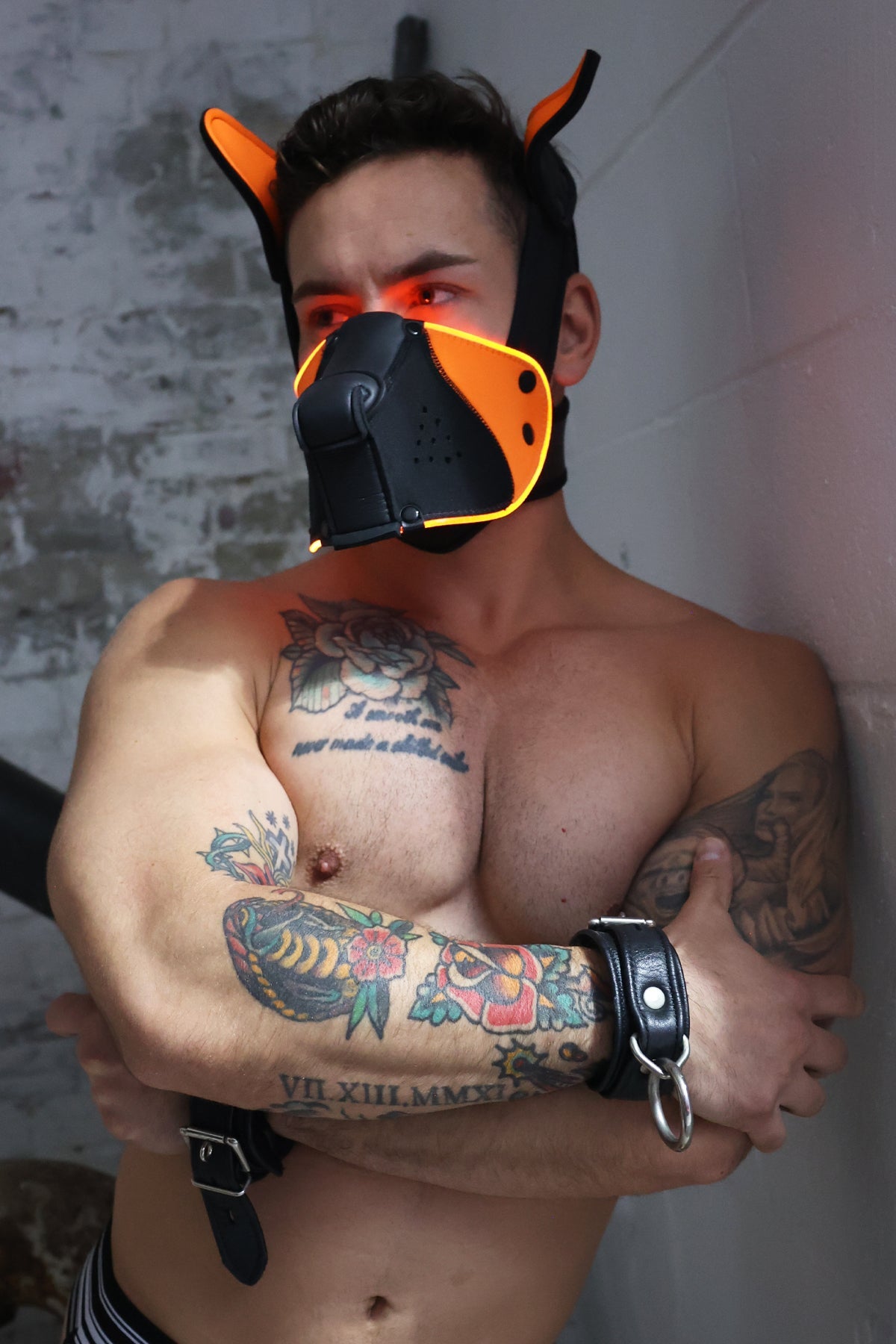 Poundtown Pup Mask 2.0 - Neon Orange - Breedwell